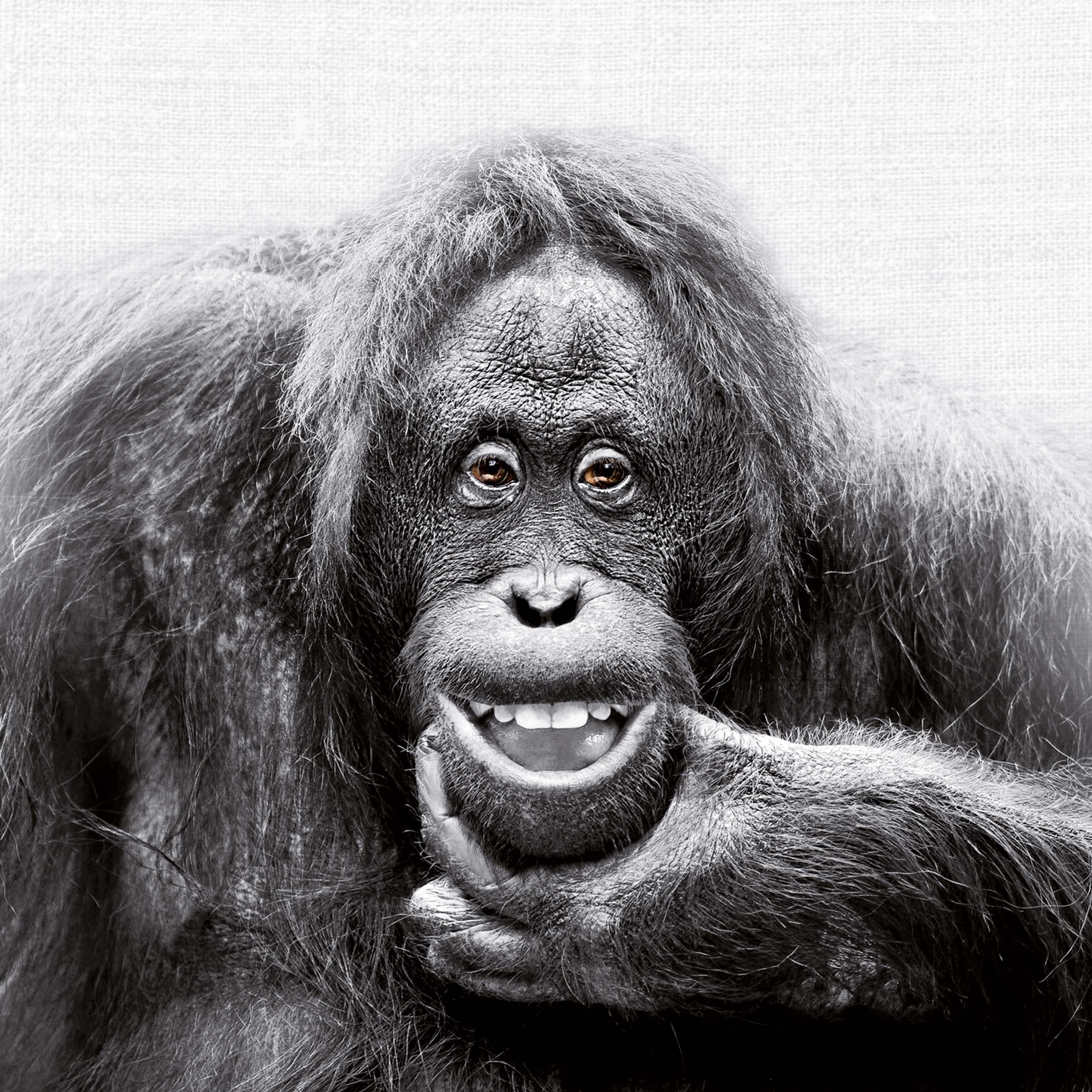 9783959295284_innenansicht_05 9783959295284_innenansicht_05.jpg