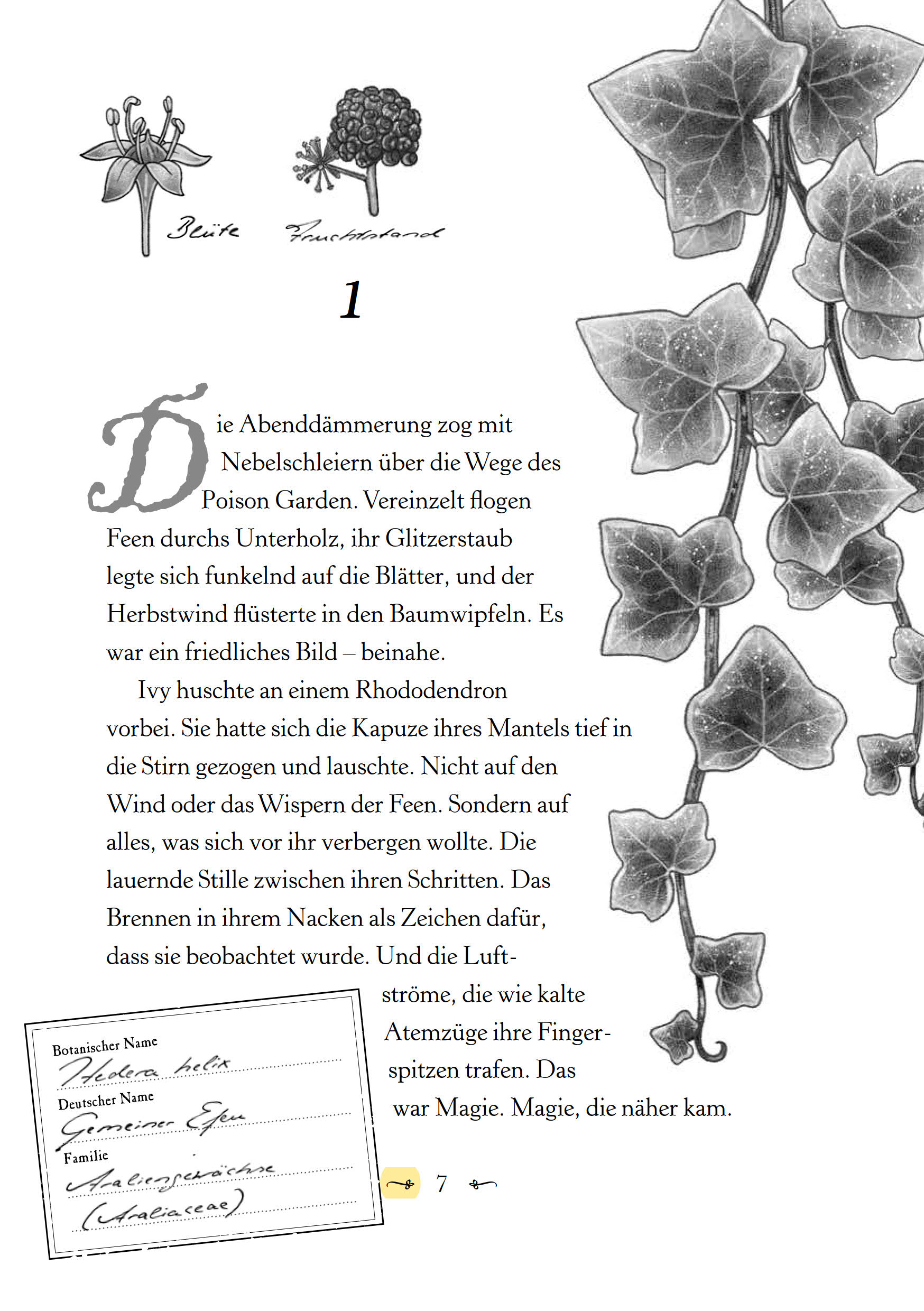 9783833910623_innenansicht_06.jpg