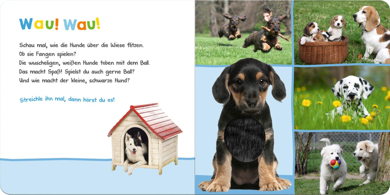 9783845811888_innenansicht_03.jpg