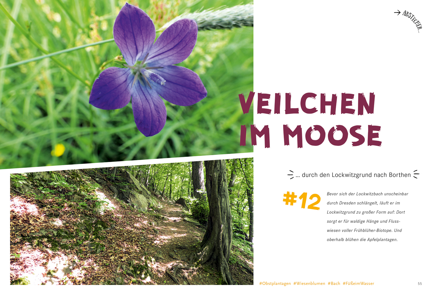 9783770180813_innenansicht_05.jpg