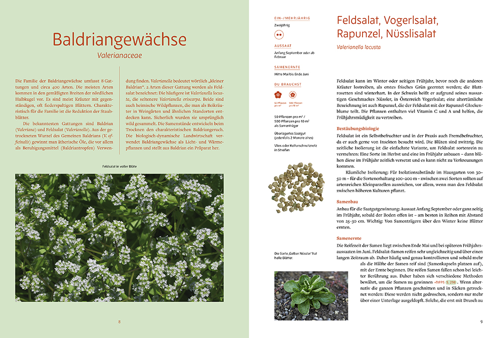 9783706629997_innenansicht_04 9783706629997_innenansicht_04.jpg