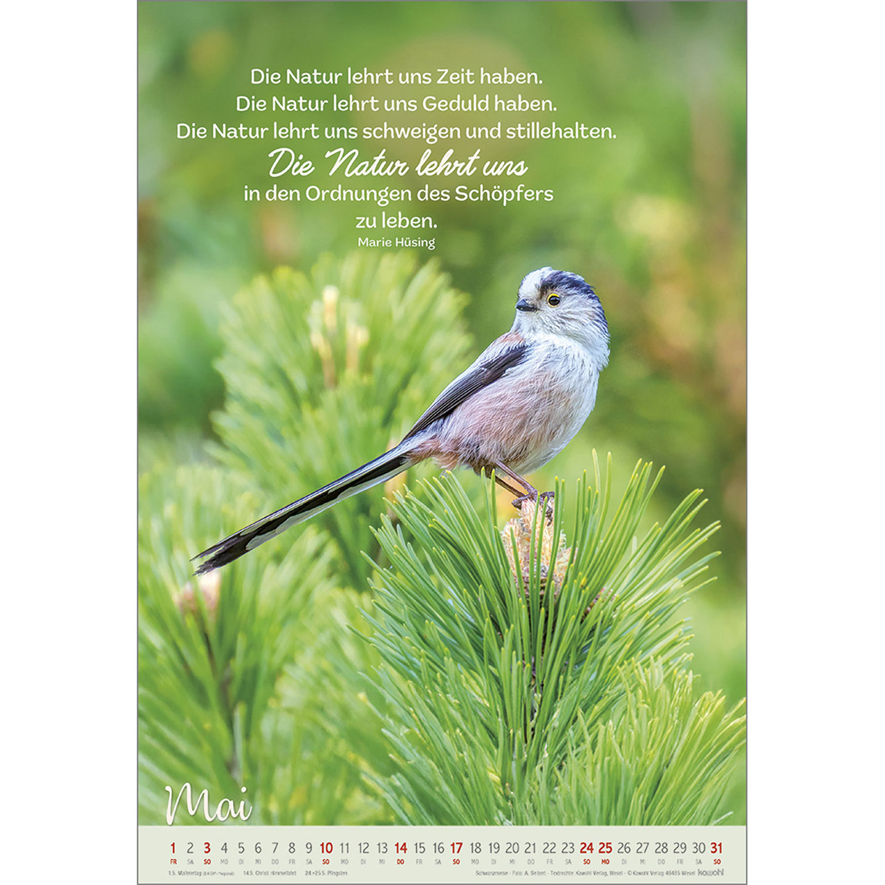 9783754804261_innenansicht_05 9783754804261_innenansicht_05.jpg