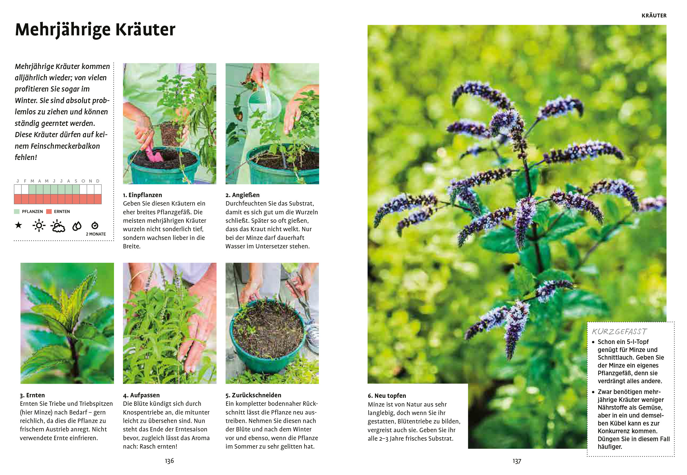 9783818610289_innenansicht_08 9783818610289_innenansicht_08.jpg