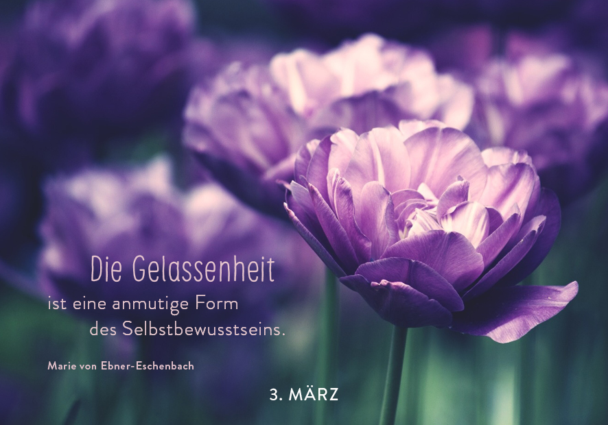 9783629009838_innenansicht_03.jpg