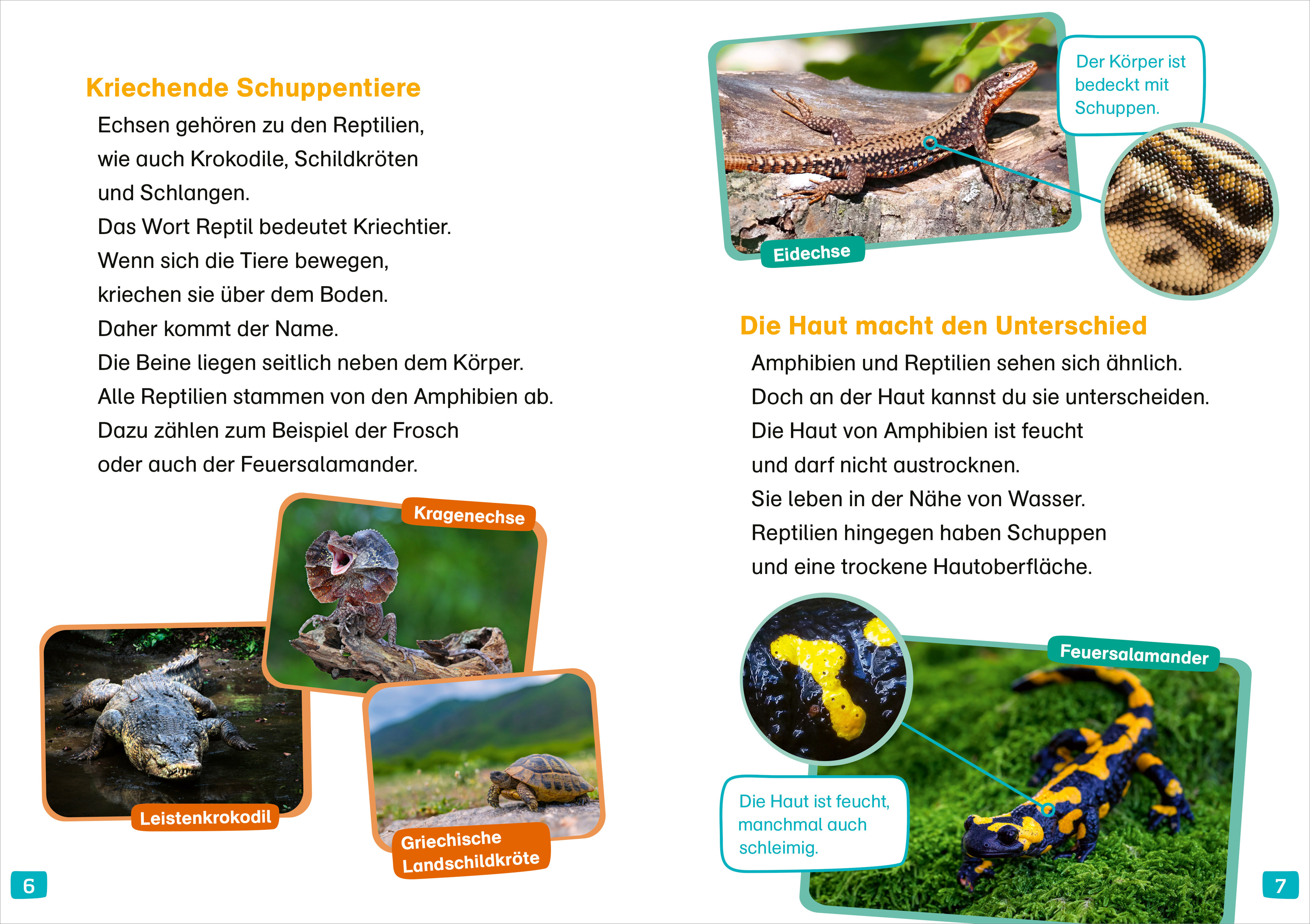 9783788677404_innenansicht_02 9783788677404_innenansicht_02.jpg