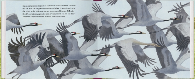 9783836960465_innenansicht_01 9783836960465_innenansicht_01.jpg