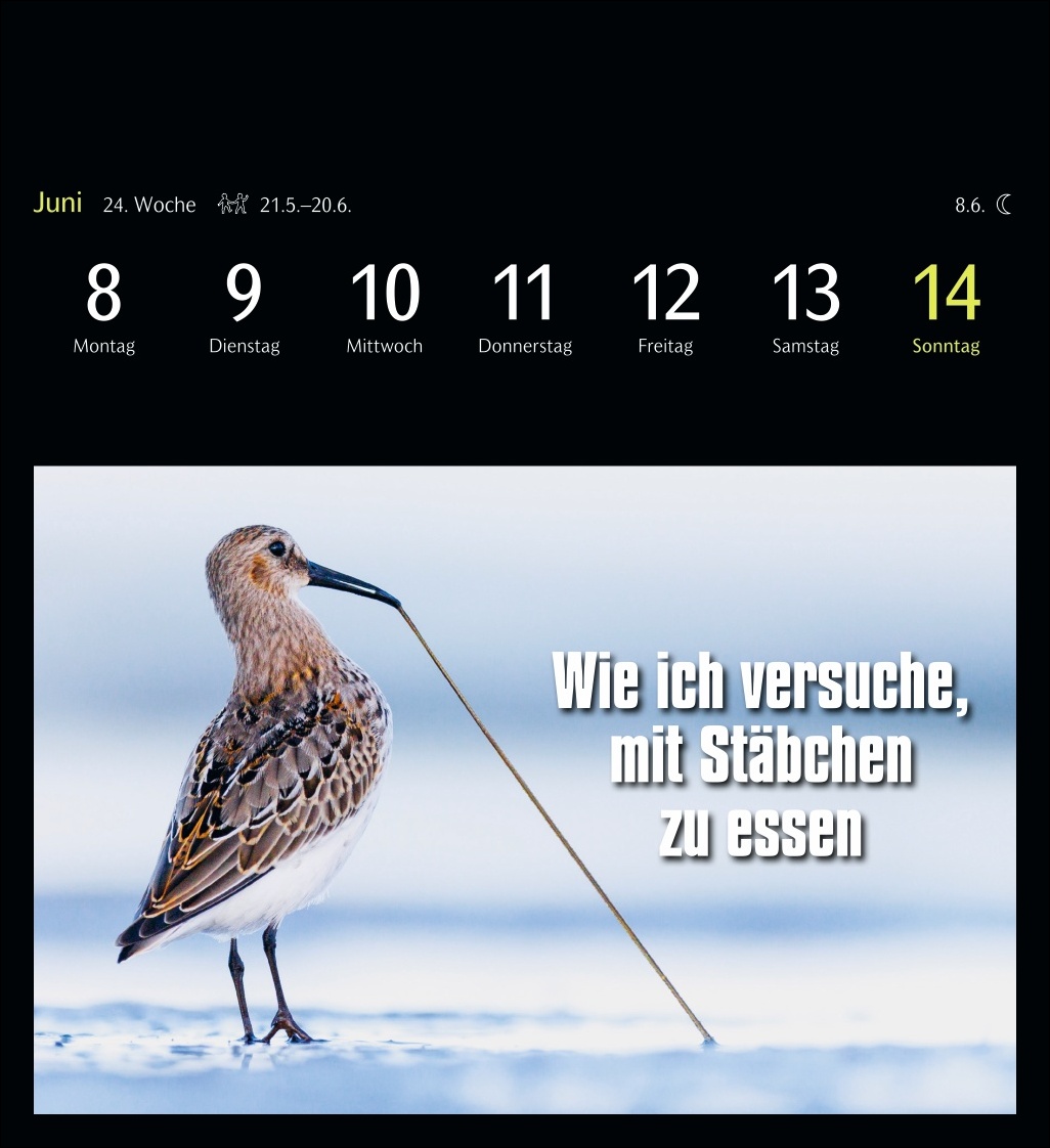 9783840037467_innenansicht_05.jpg