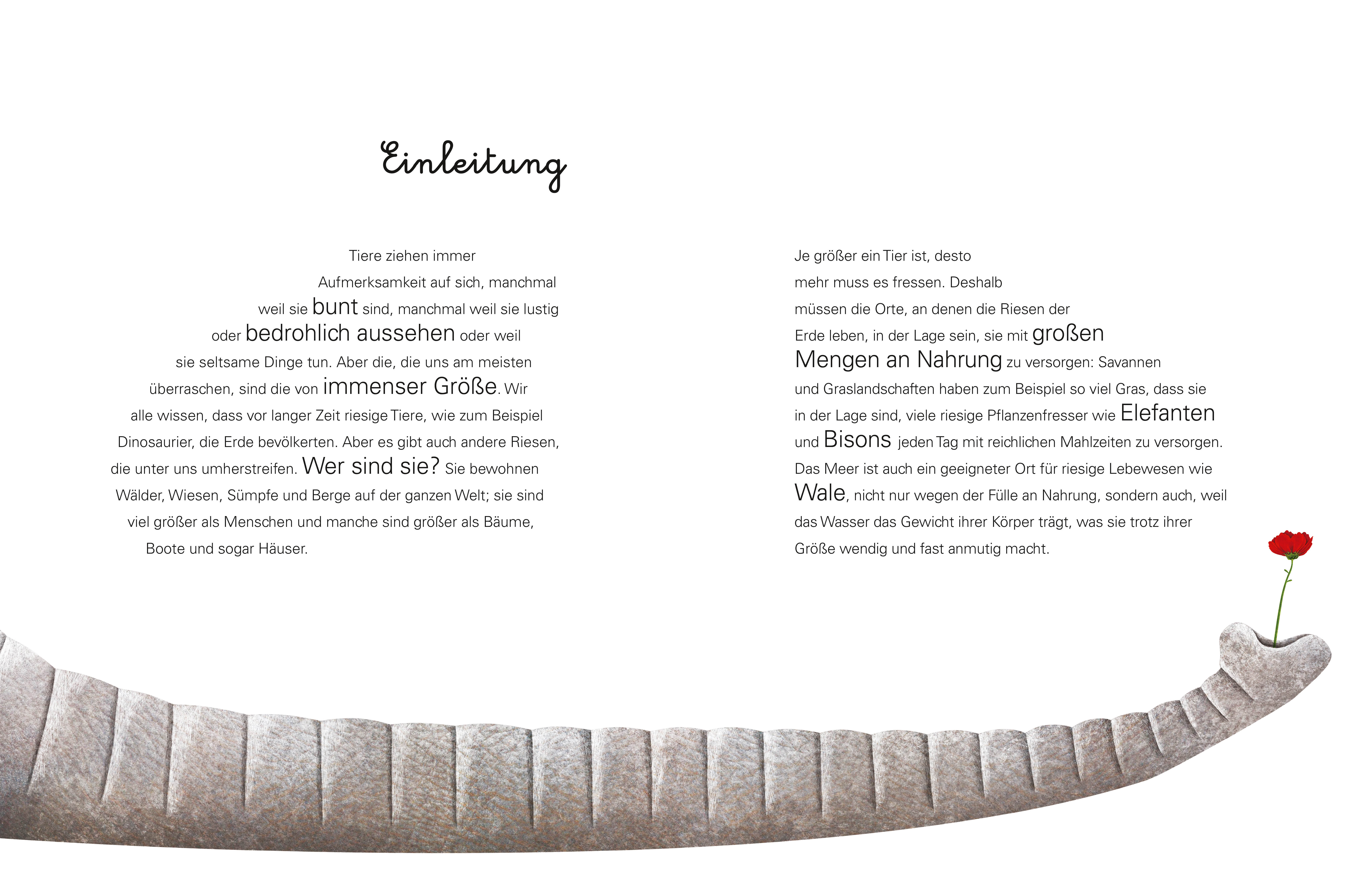 9788863125597_innenansicht_01 9788863125597_innenansicht_01.jpg