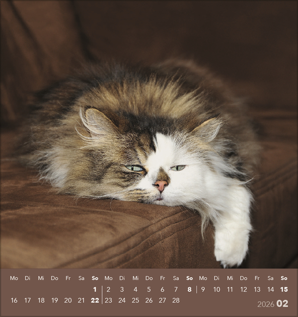 9783731884071_innenansicht_02 9783731884071_innenansicht_02.jpg