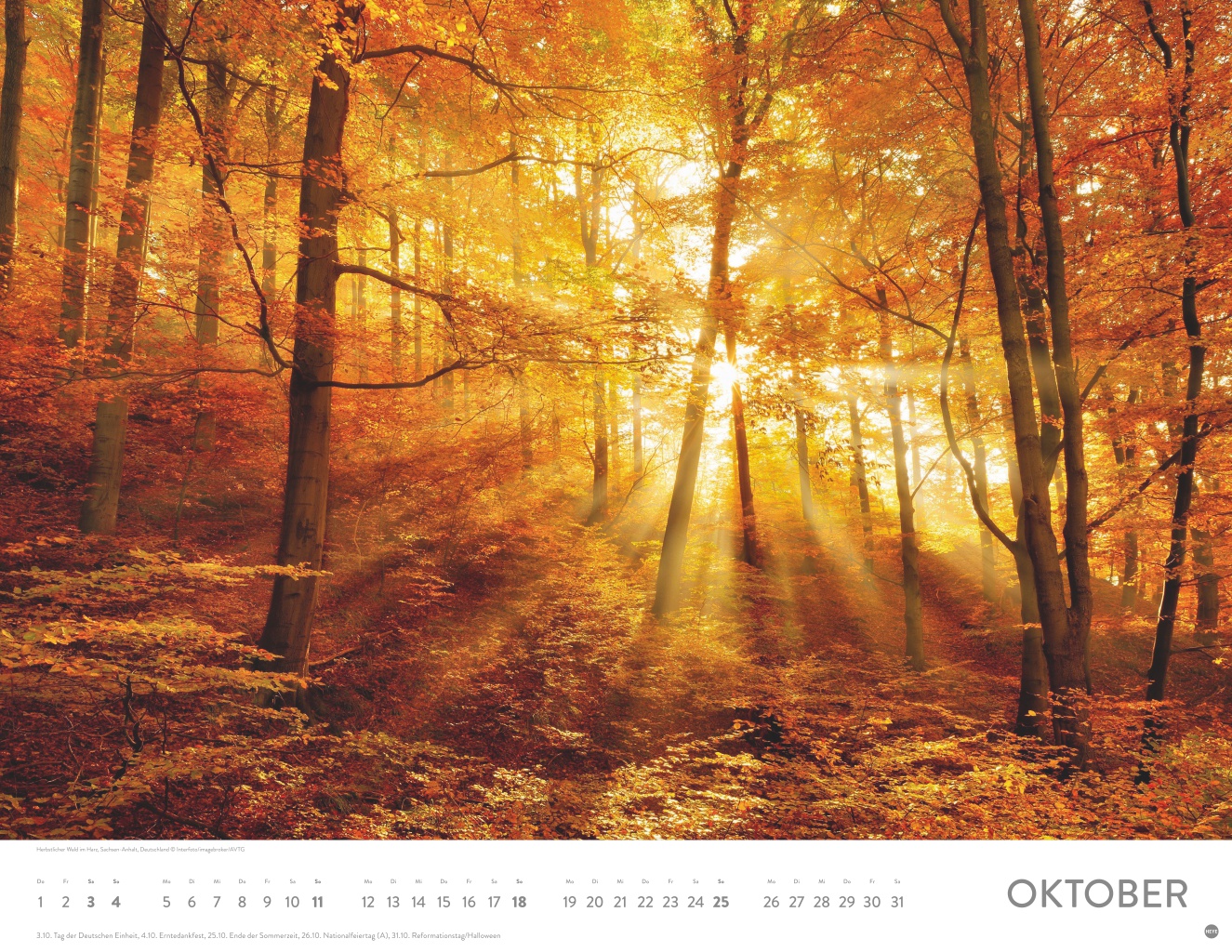 9783756411467_innenansicht_10 9783756411467_innenansicht_10.jpg