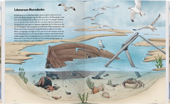 9783836956963_innenansicht_01 9783836956963_innenansicht_01.jpg