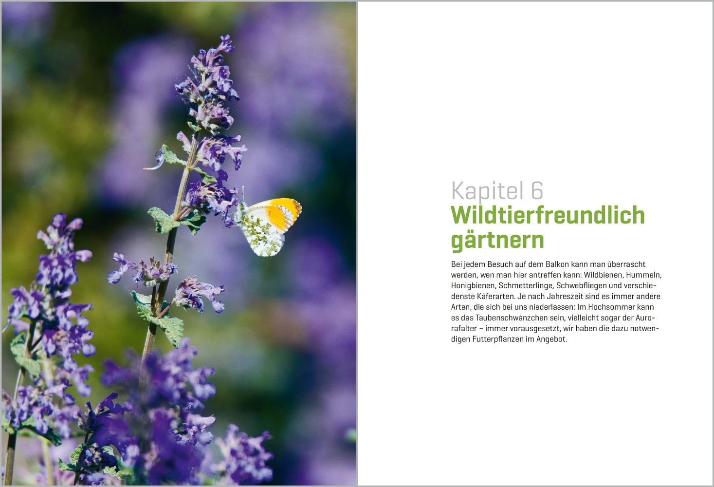 9783962384159_innenansicht_04 9783962384159_innenansicht_04.jpg