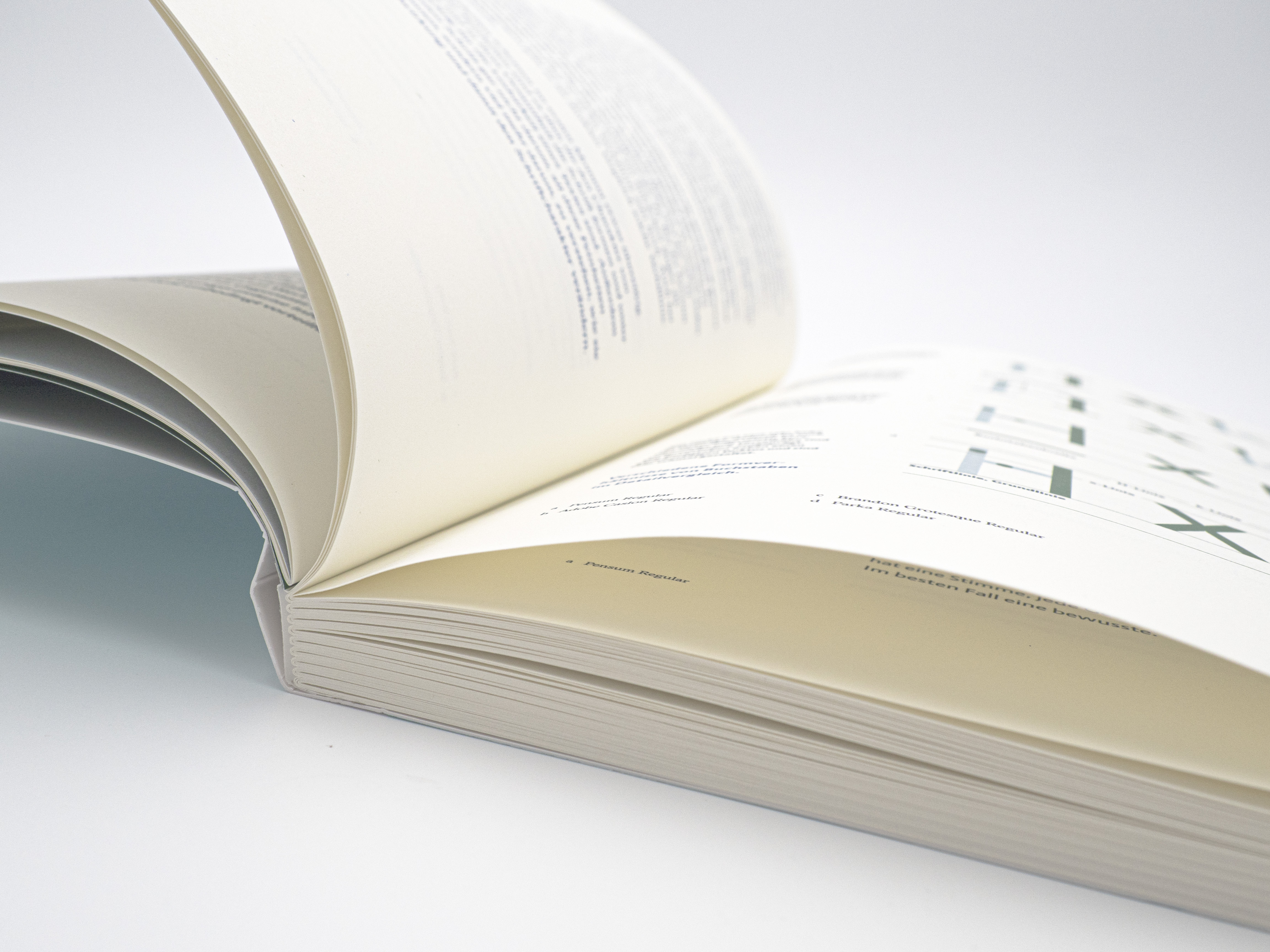 9783874399081_innenansicht_16 9783874399081_innenansicht_16.jpg