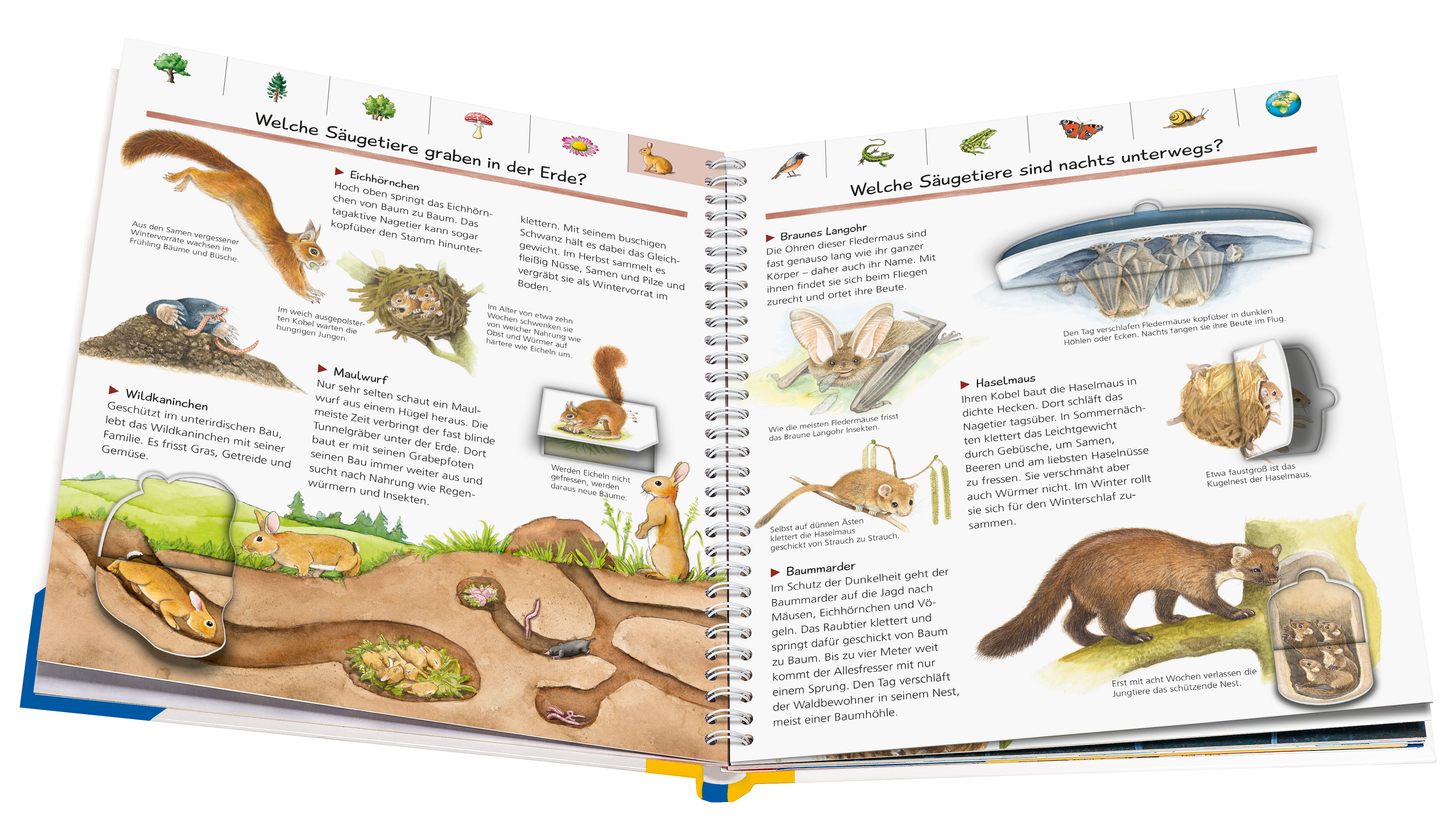 9783473329892_innenansicht_03 9783473329892_innenansicht_03.jpg