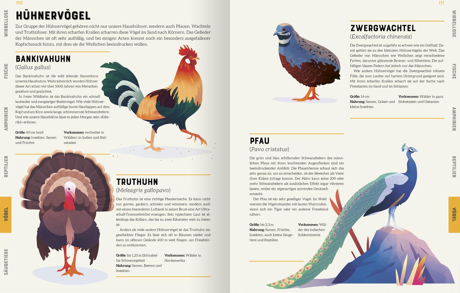 9783845848297_innenansicht_06 9783845848297_innenansicht_06.jpg