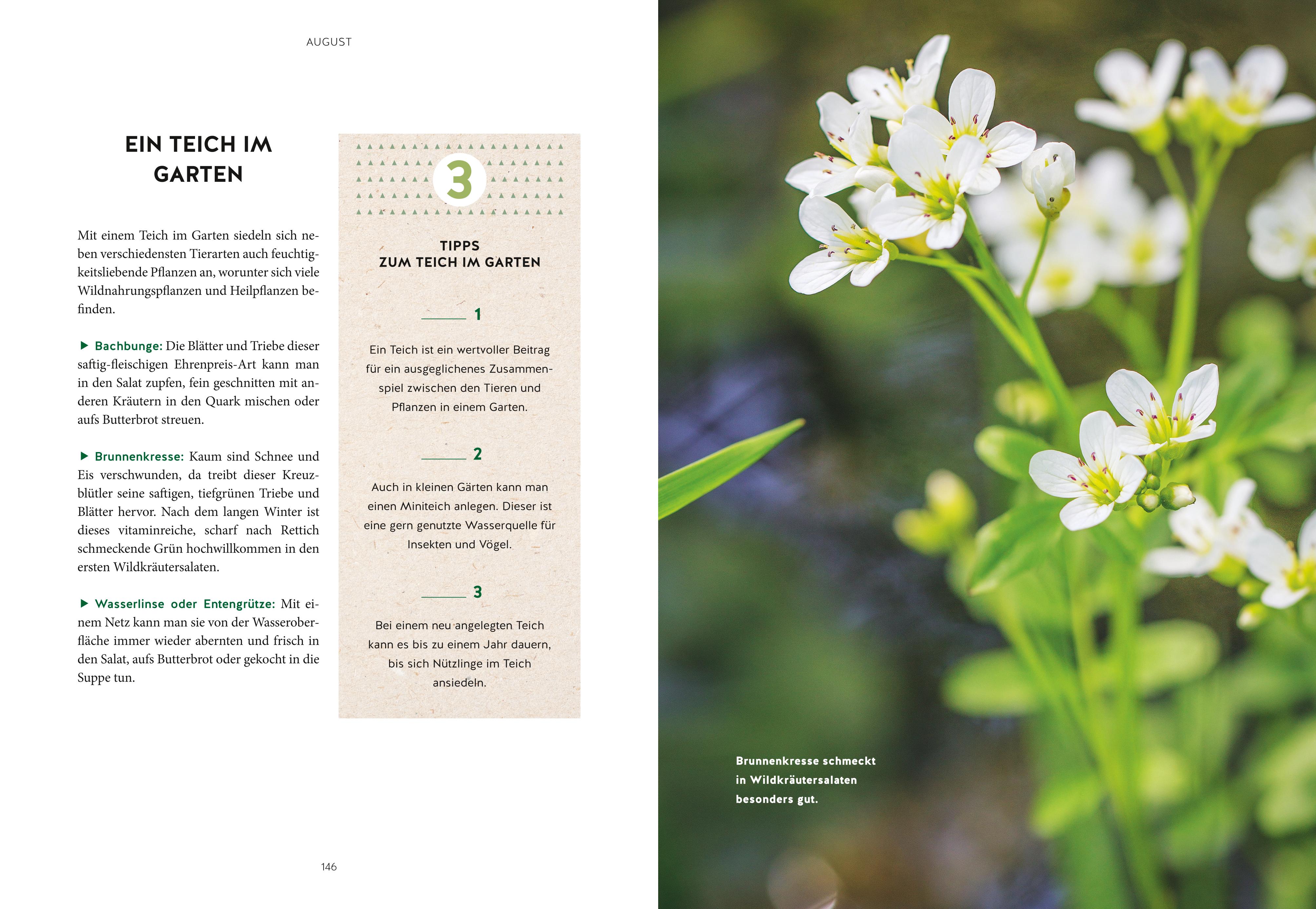 9783833880544_innenansicht_05 9783833880544_innenansicht_05.jpg