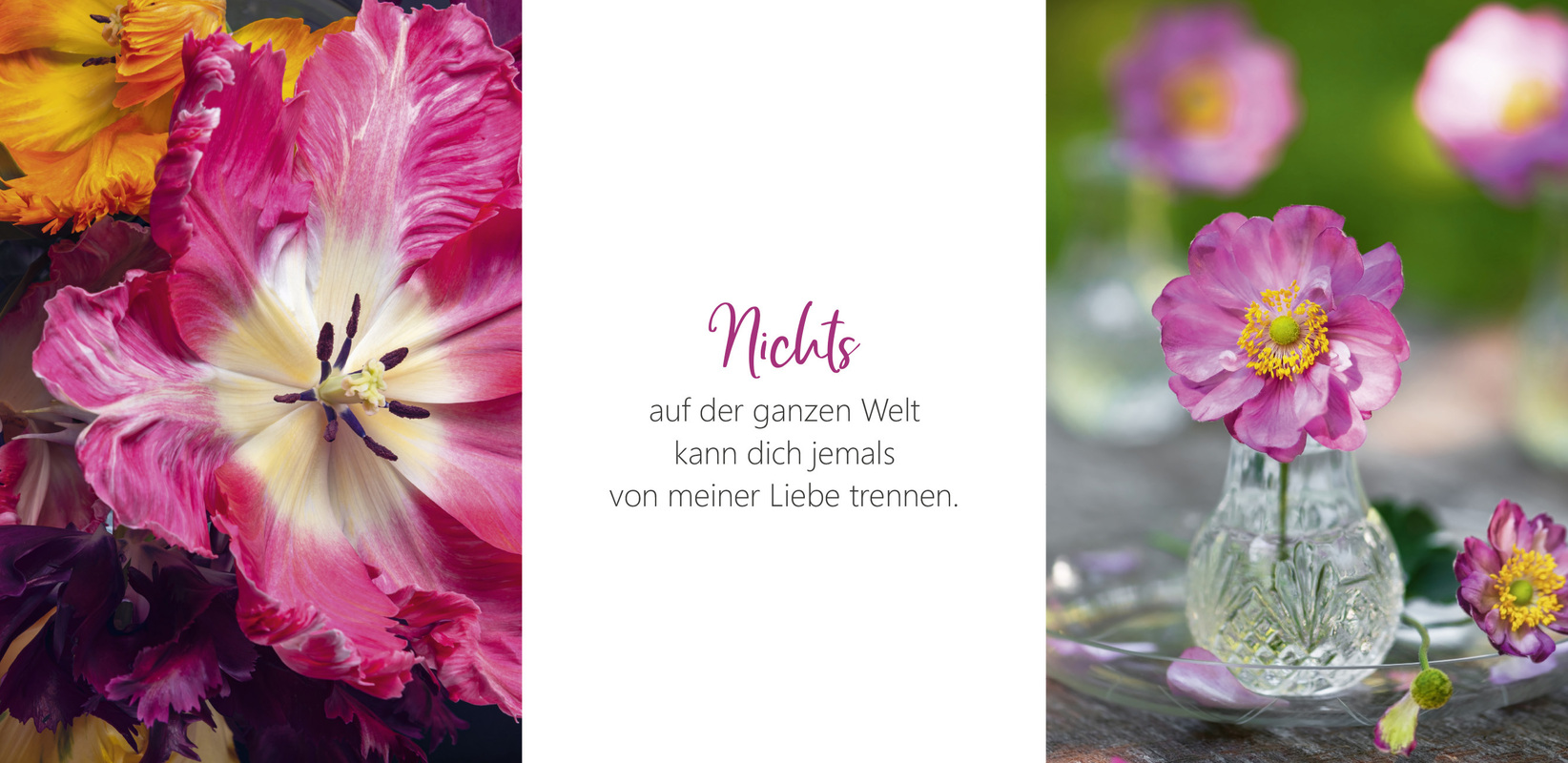 9783986952013_innenansicht_03.jpg
