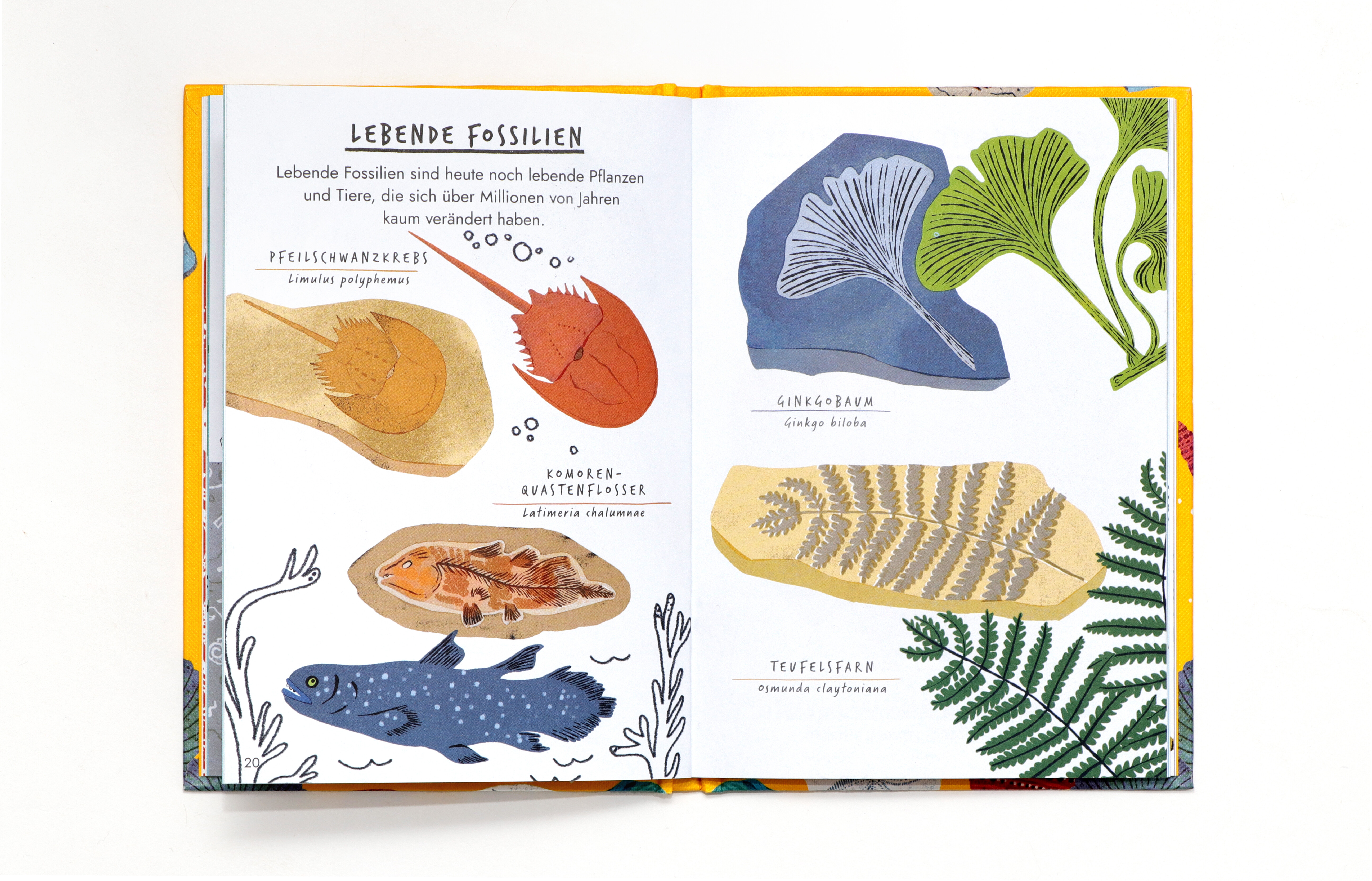 9783962444242_produktbild_07 9783962444242_produktbild_07.jpg