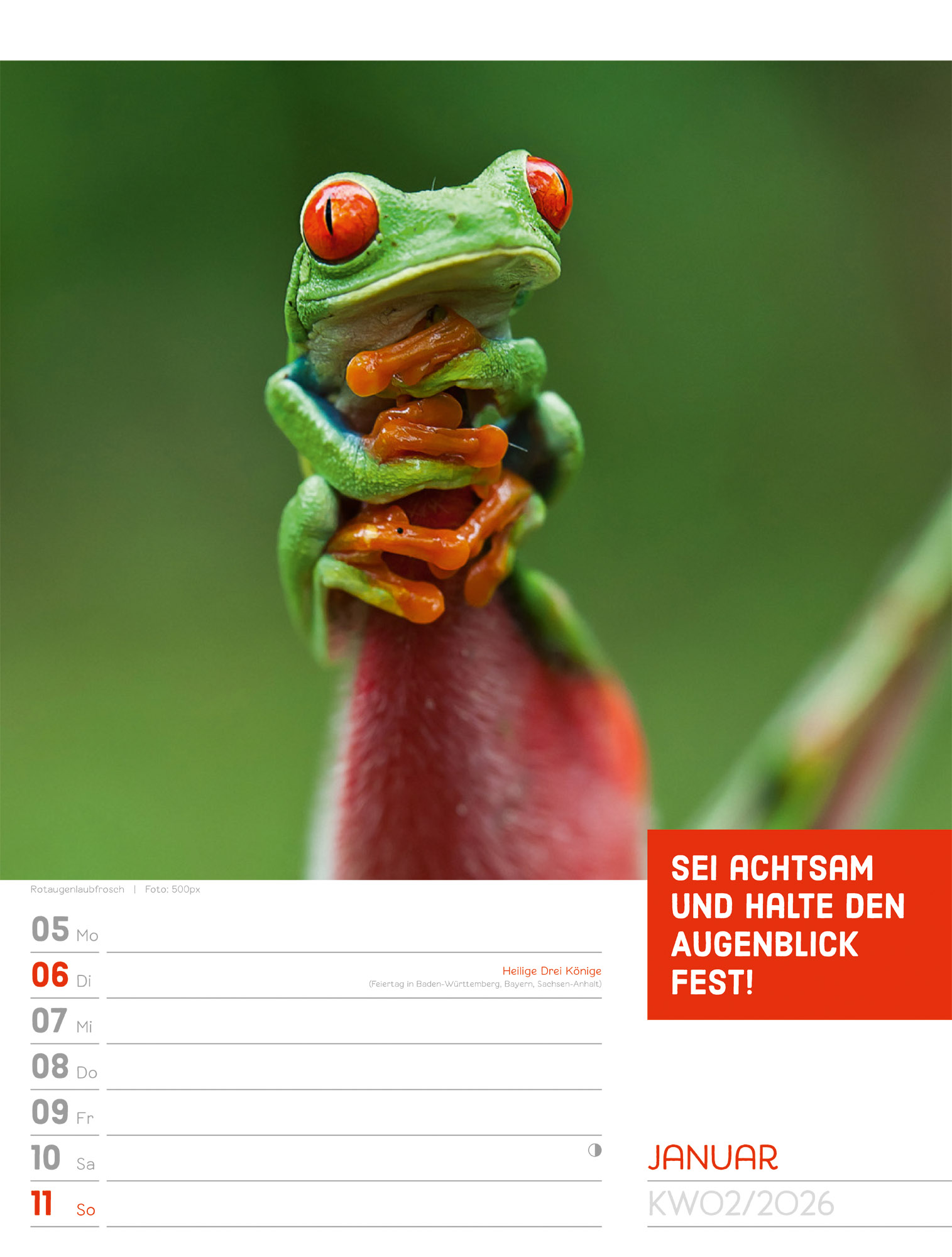 9783838426969_innenansicht_03.jpg