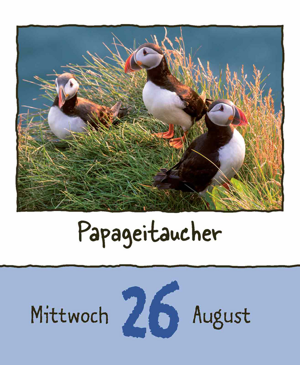 9783731889182_innenansicht_12.jpg