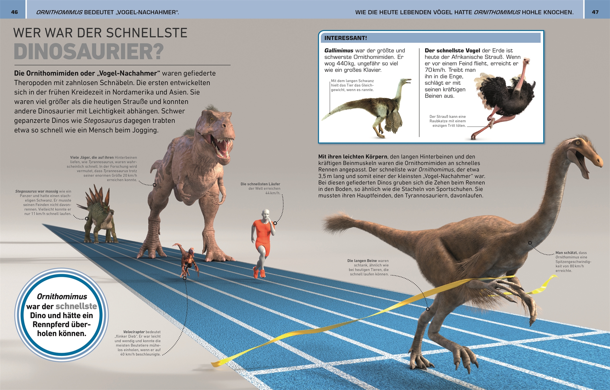 9783831047390_innenansicht_04 9783831047390_innenansicht_04.jpg