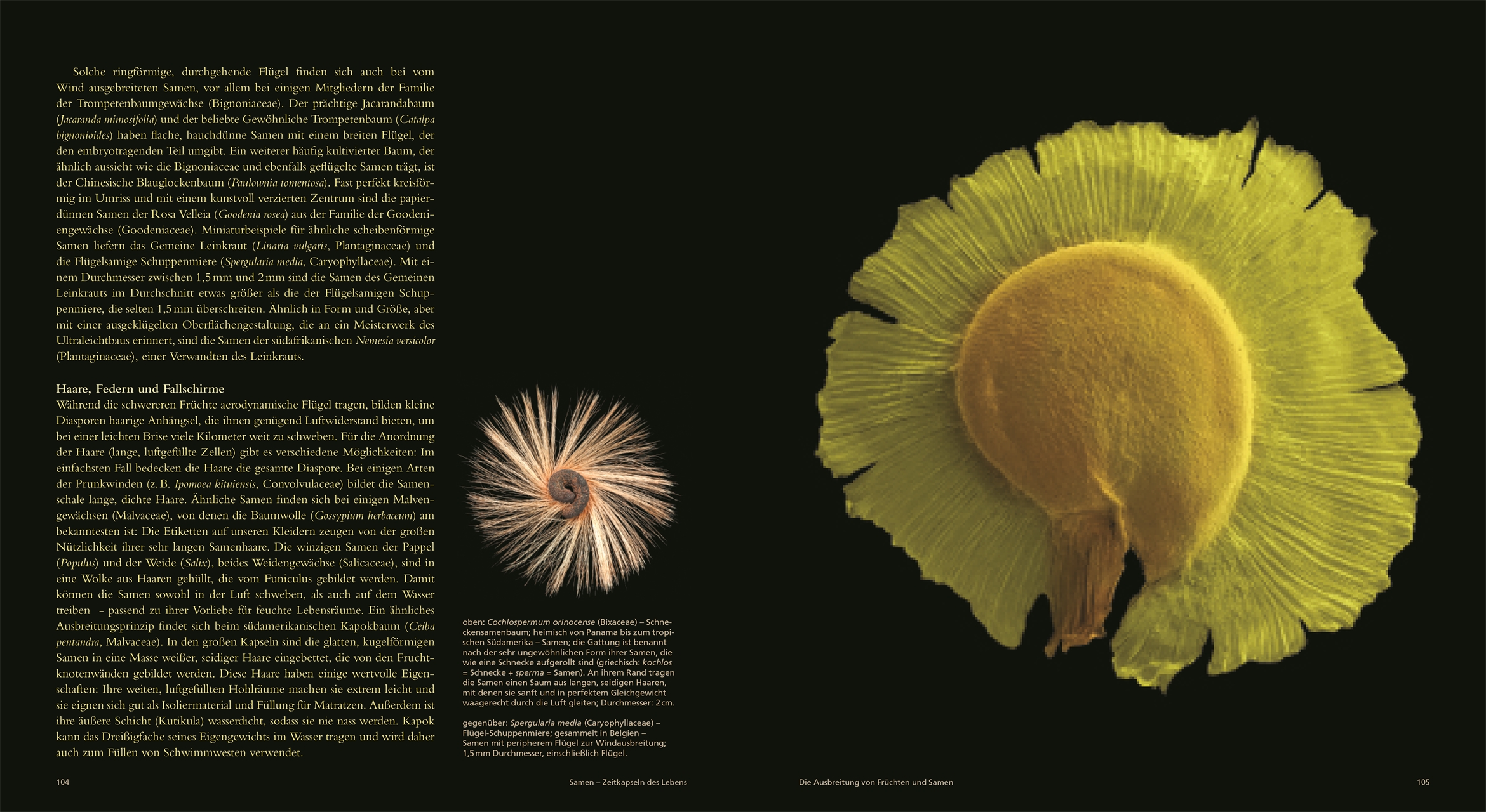 9783831049974_innenansicht_04 9783831049974_innenansicht_04.jpg