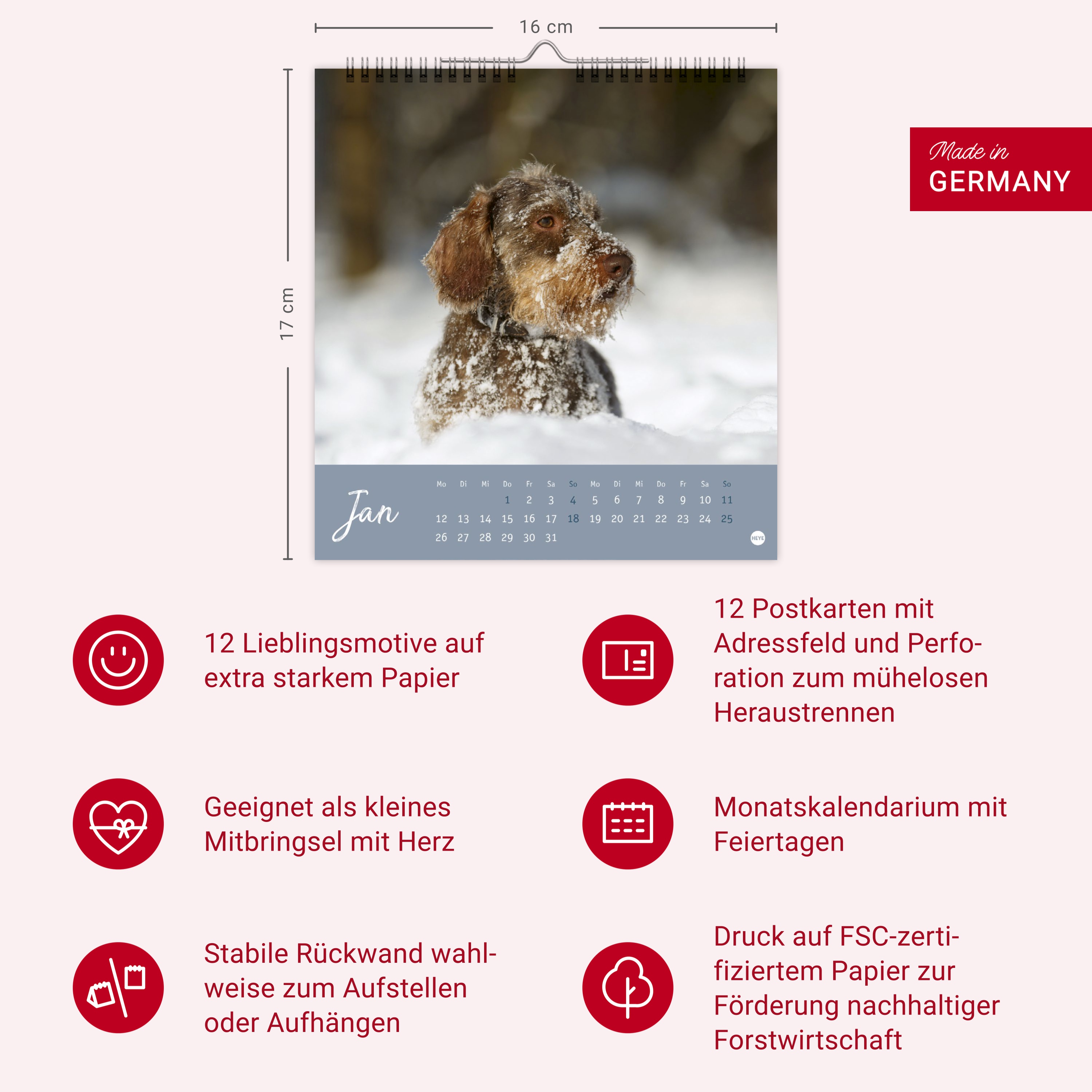 9783756411078_innenansicht_13.jpg