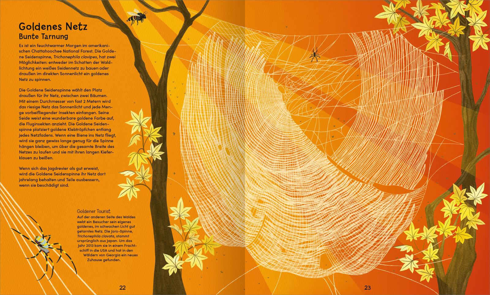 9783845865515_innenansicht_02 9783845865515_innenansicht_02.jpg