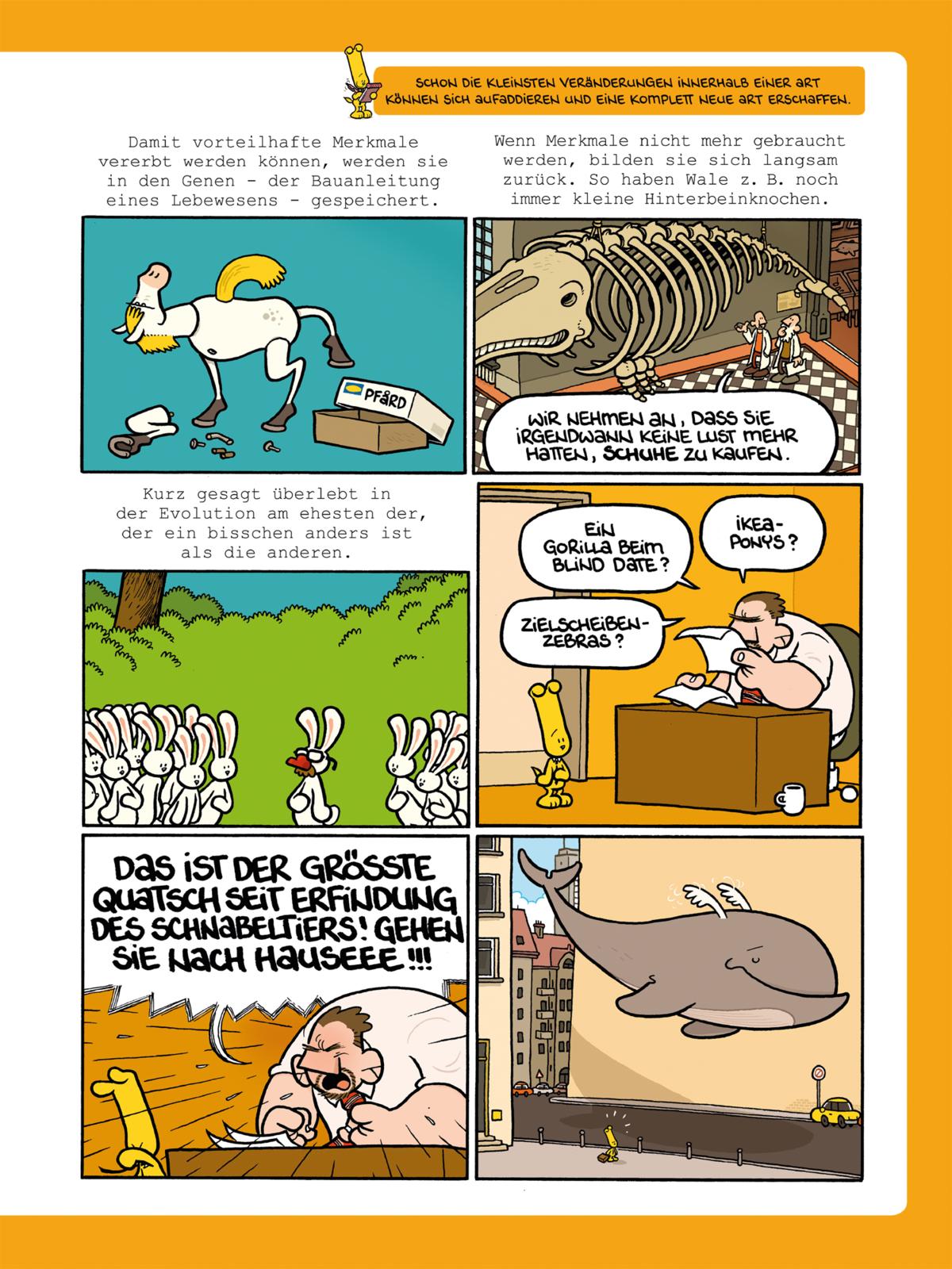 9783551804426_innenansicht_05 9783551804426_innenansicht_05.jpg