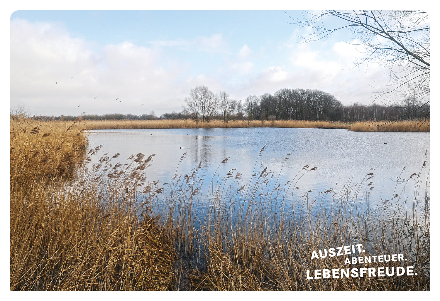 9783616110004_innenansicht_01.jpg