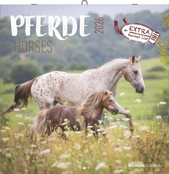 4069095003033 4069095003033