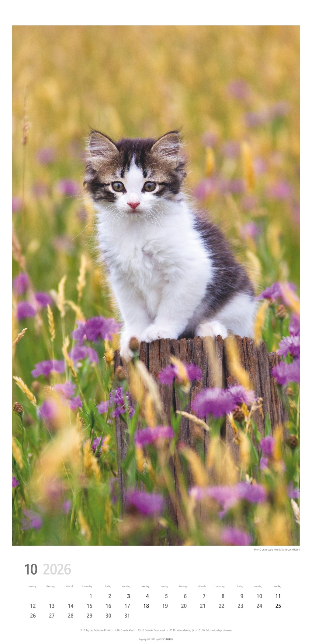 9783839903025_innenansicht_10 9783839903025_innenansicht_10.jpg