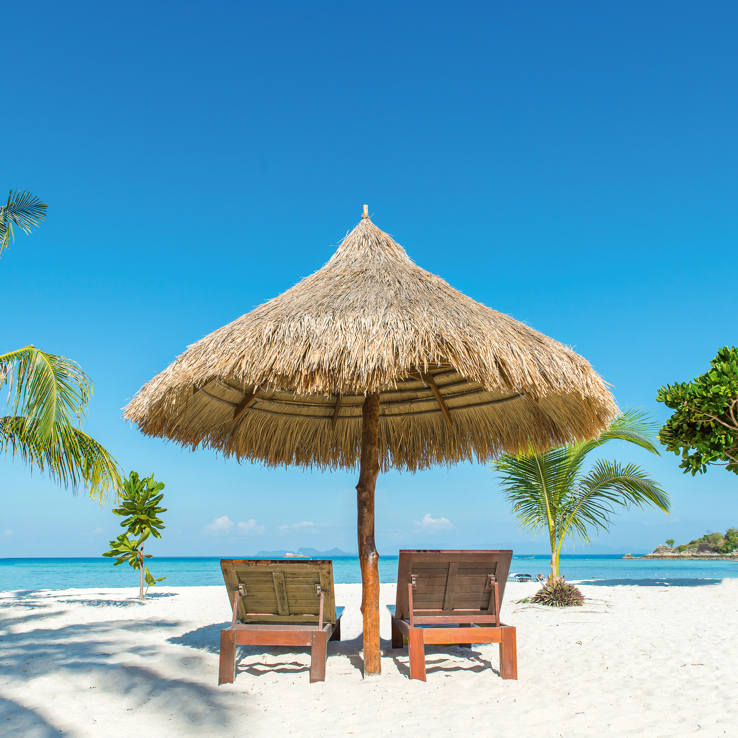 9783959295819_innenansicht_08 9783959295819_innenansicht_08.jpg