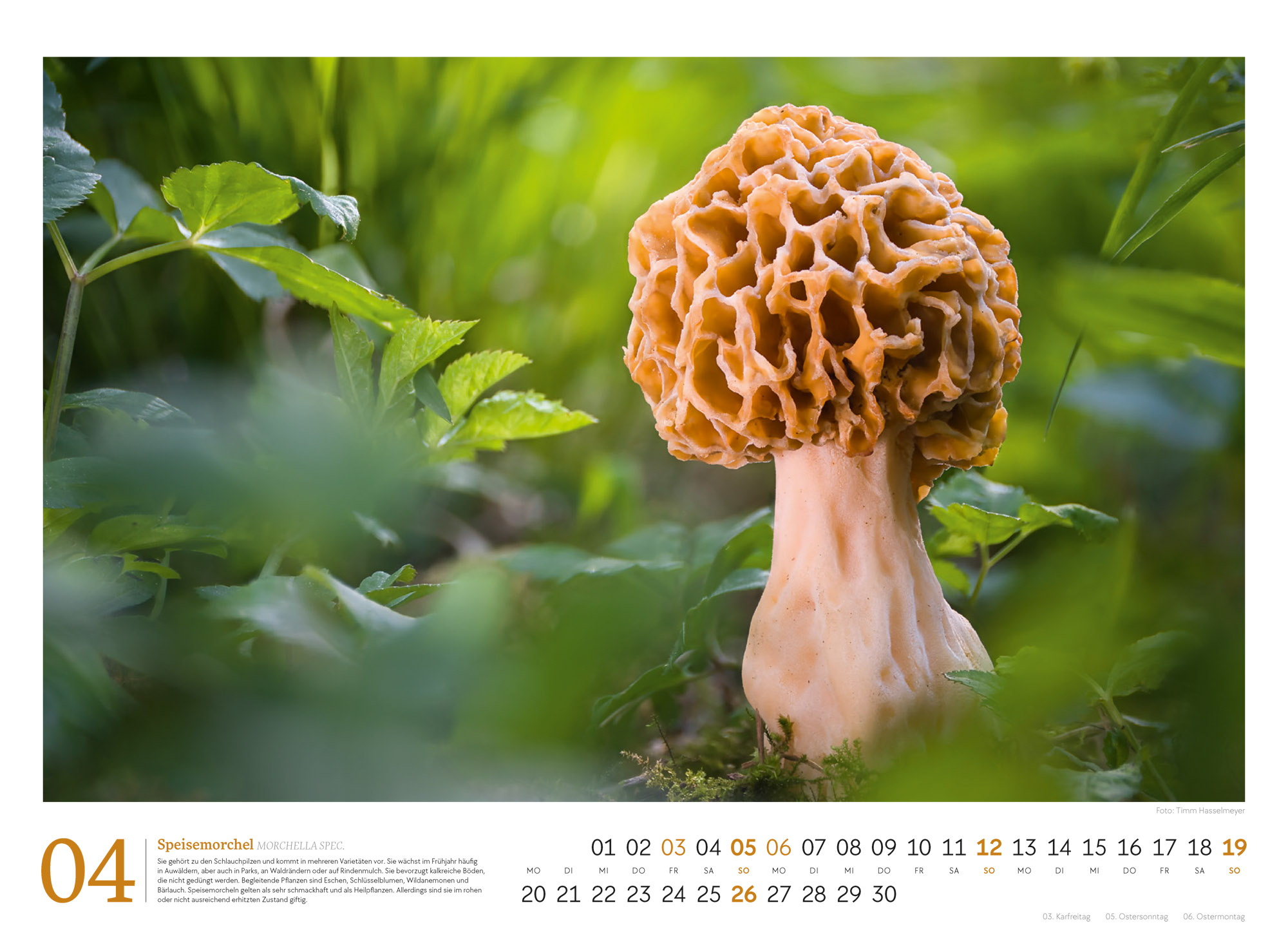 9783838436333_innenansicht_04 9783838436333_innenansicht_04.jpg