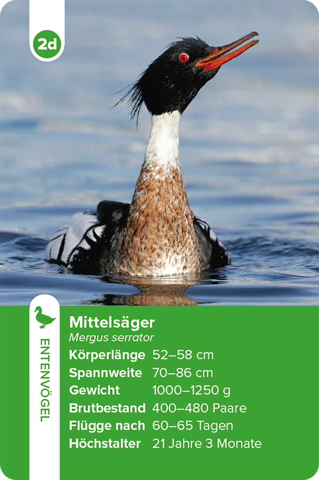 9783258800028_innenansicht_01.jpg