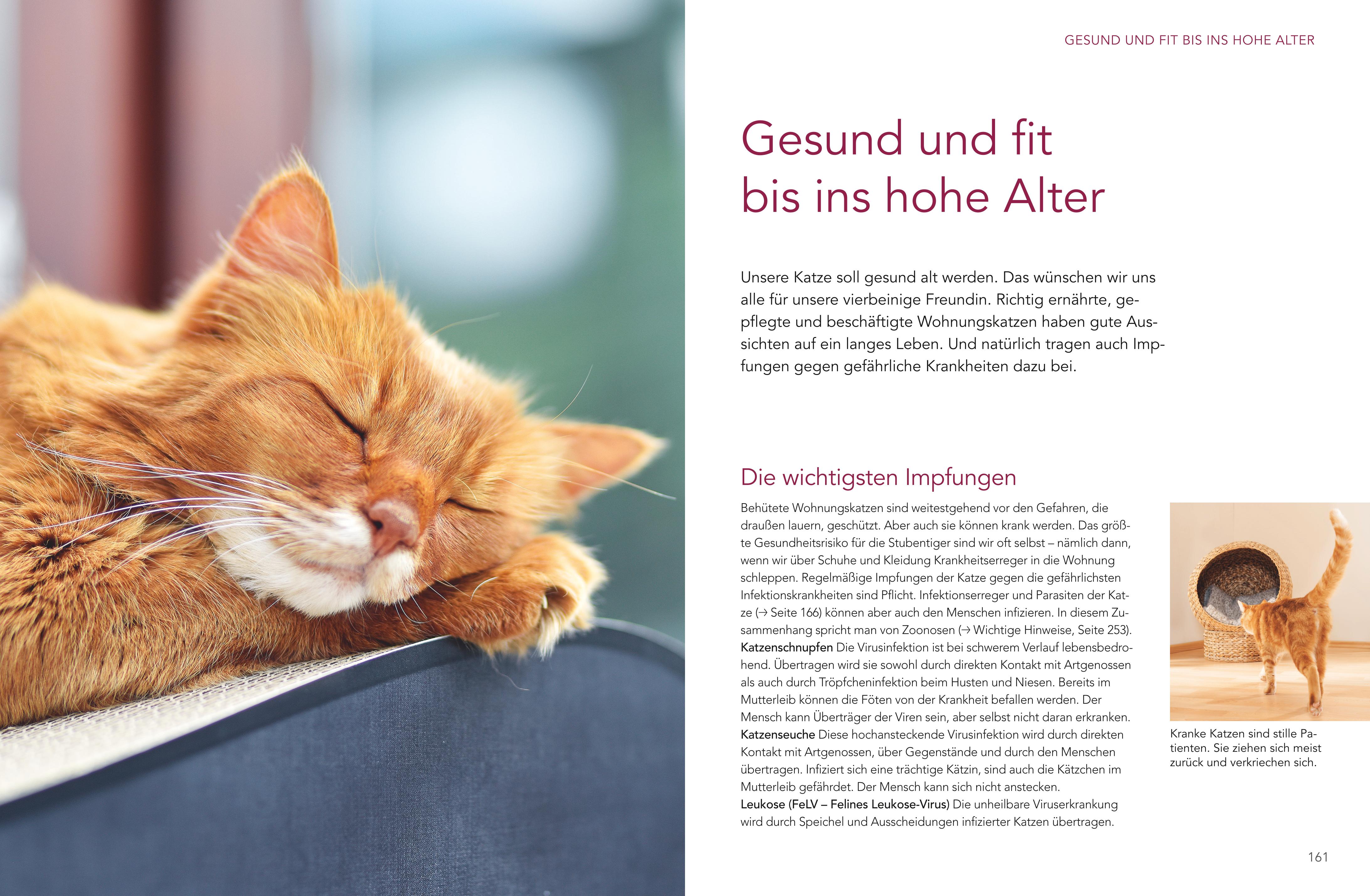 9783833898723_innenansicht_06.jpg