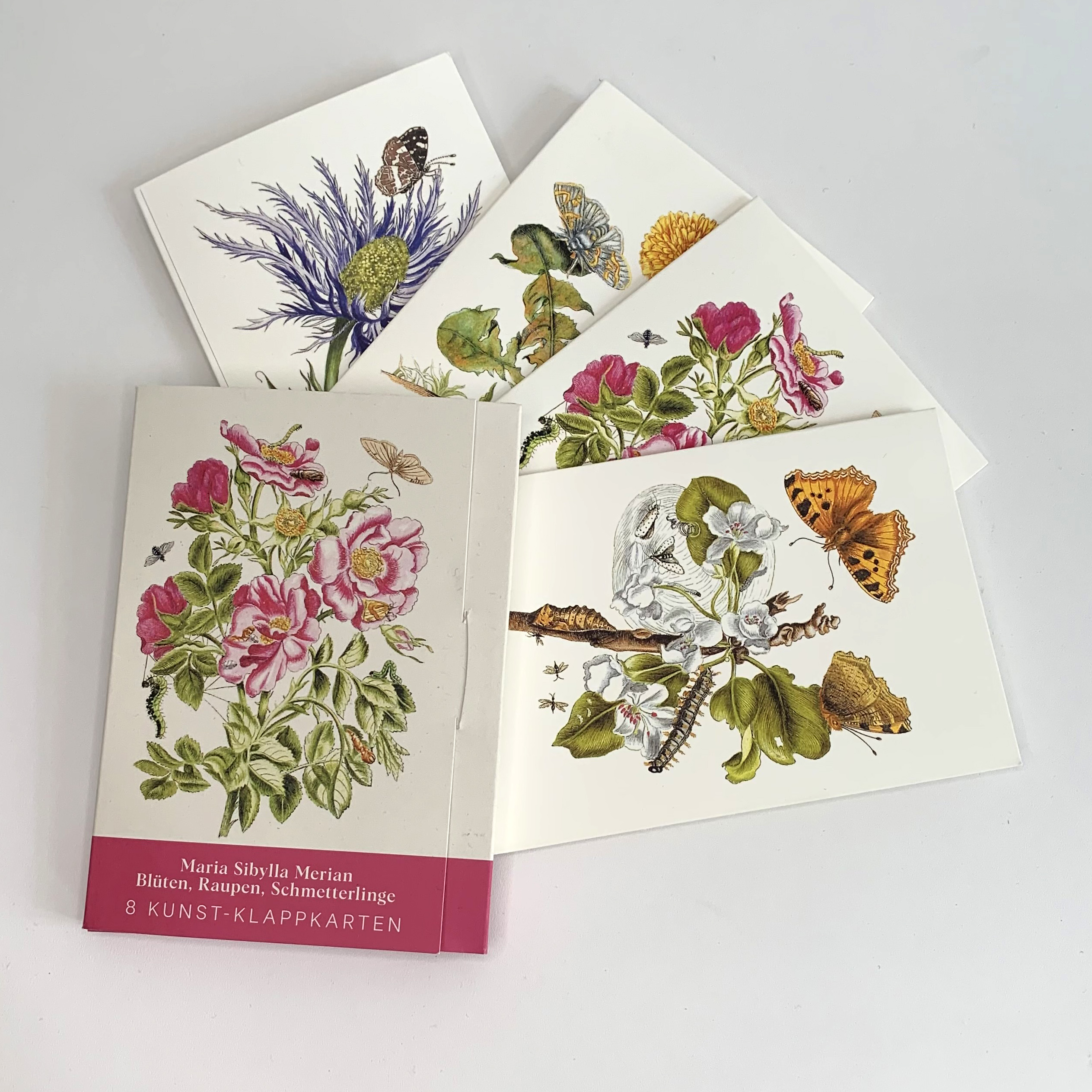 9783968492049_weiterecover_01 9783968492049_weiterecover_01.jpg