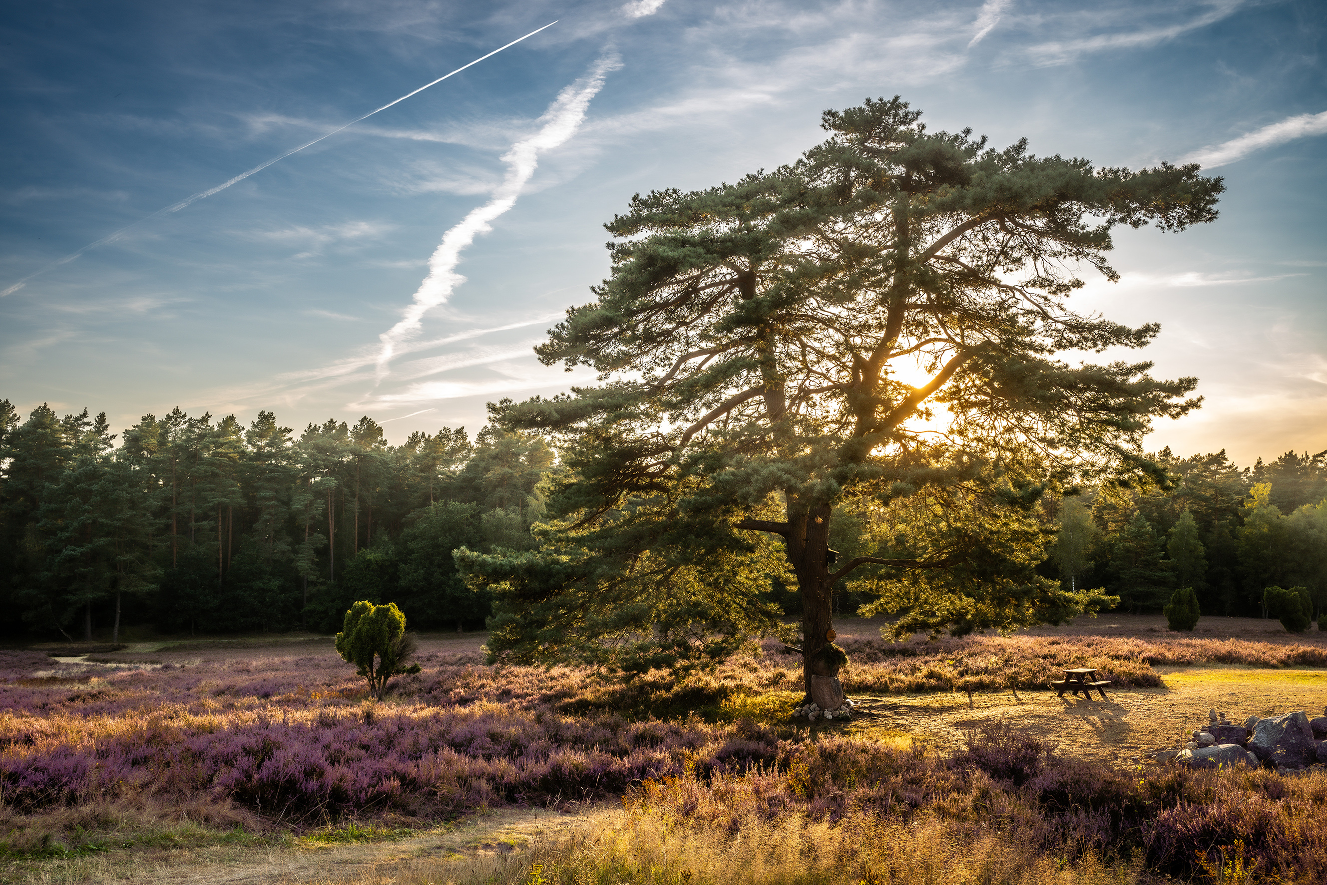 9783734331732_innenansicht_05 9783734331732_innenansicht_05.jpg