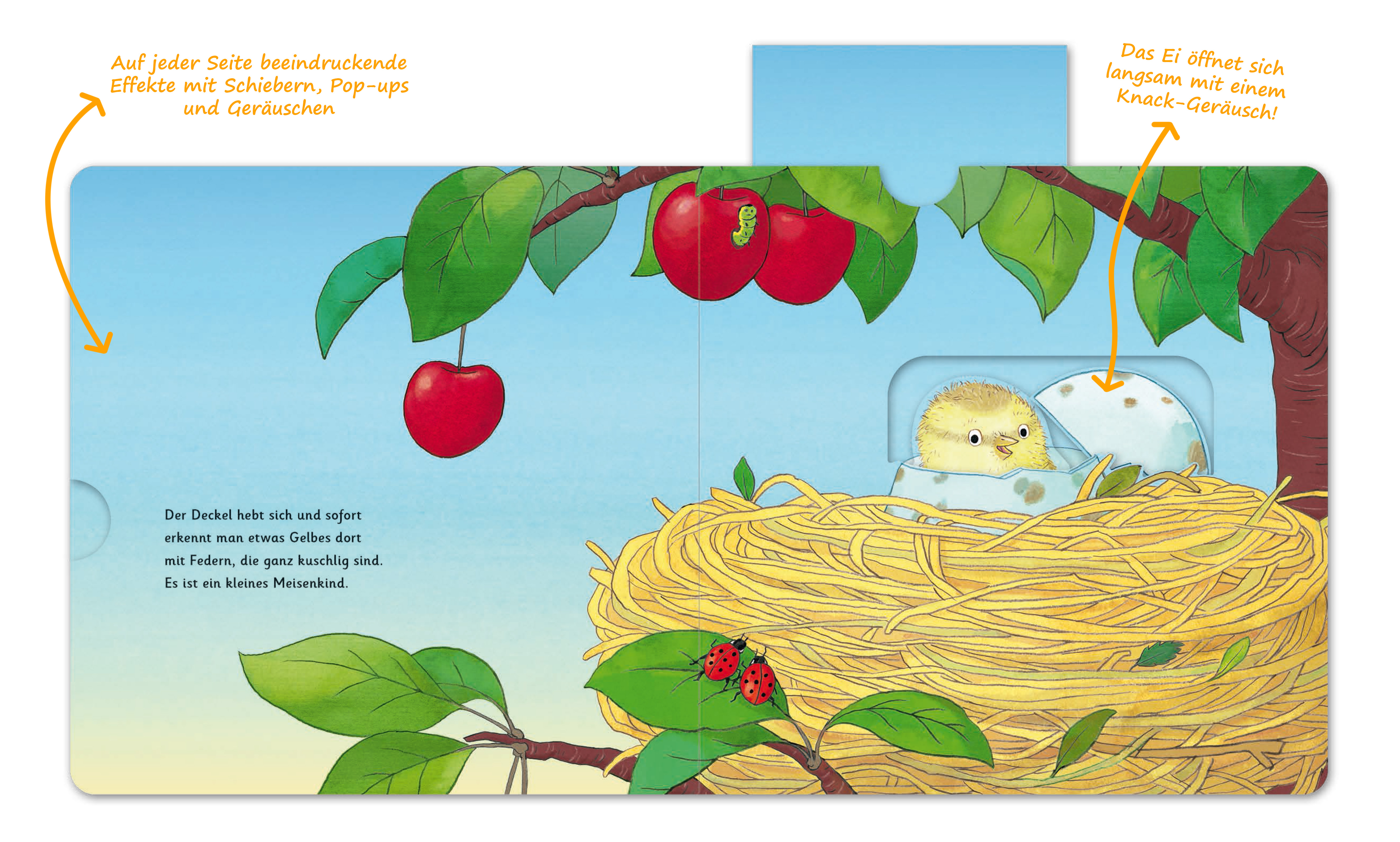 9783737355186_innenansicht_01.jpg 9783737355186_innenansicht_01.jpg