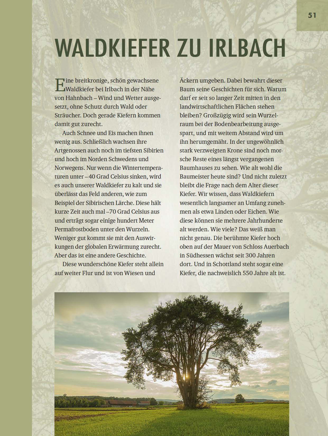 9783955870942_innenansicht_02 9783955870942_innenansicht_02.jpg