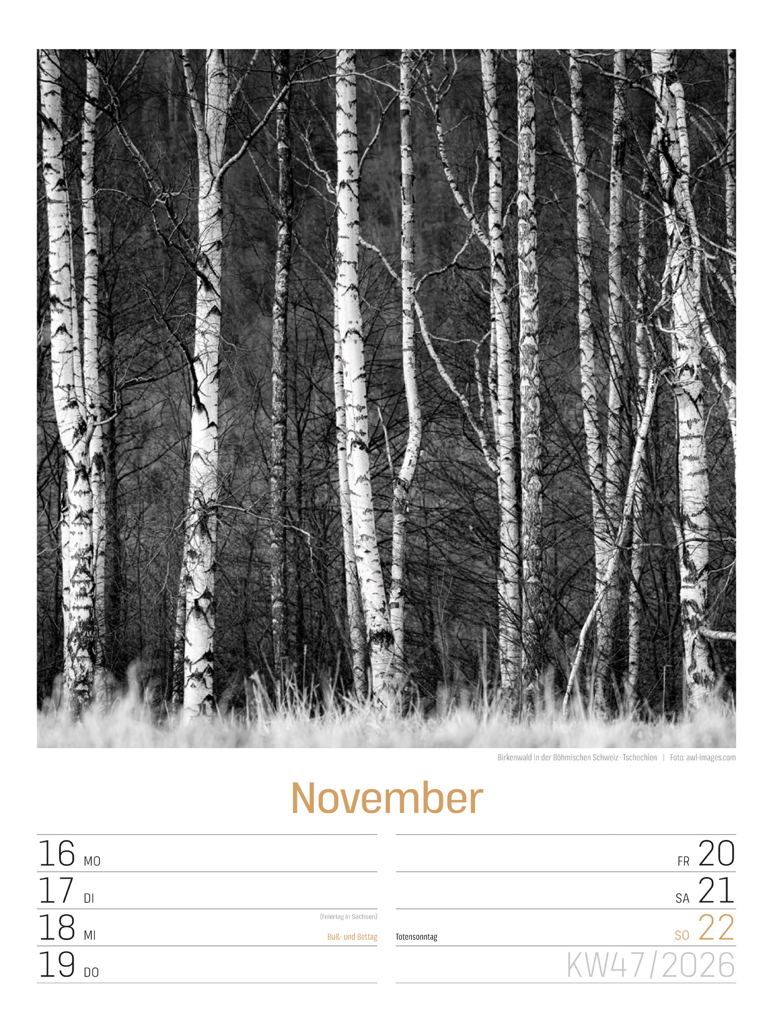 9783838436265_innenansicht_50 9783838436265_innenansicht_50.jpg