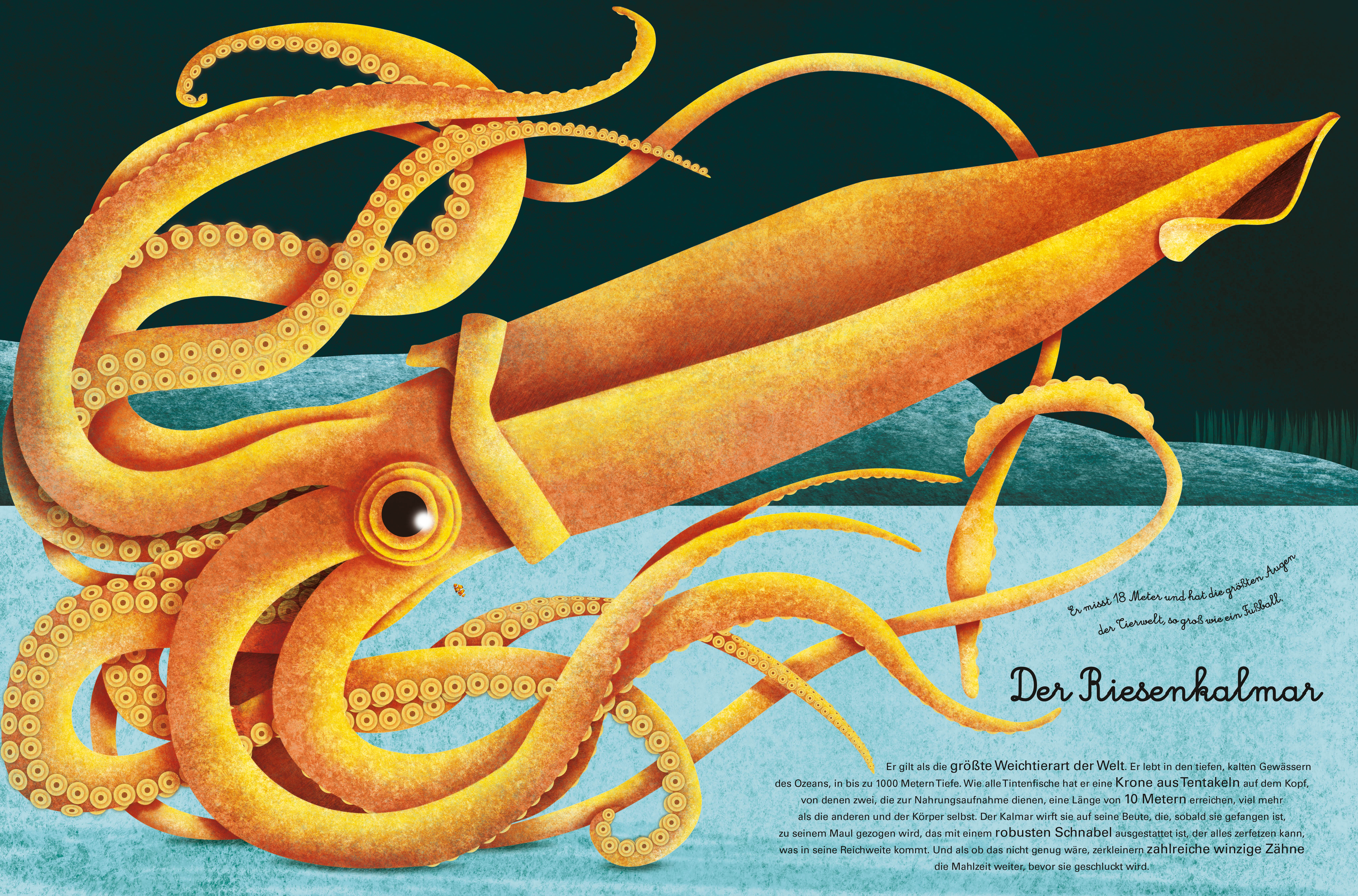 9788863125818_innenansicht_06 9788863125818_innenansicht_06.jpg