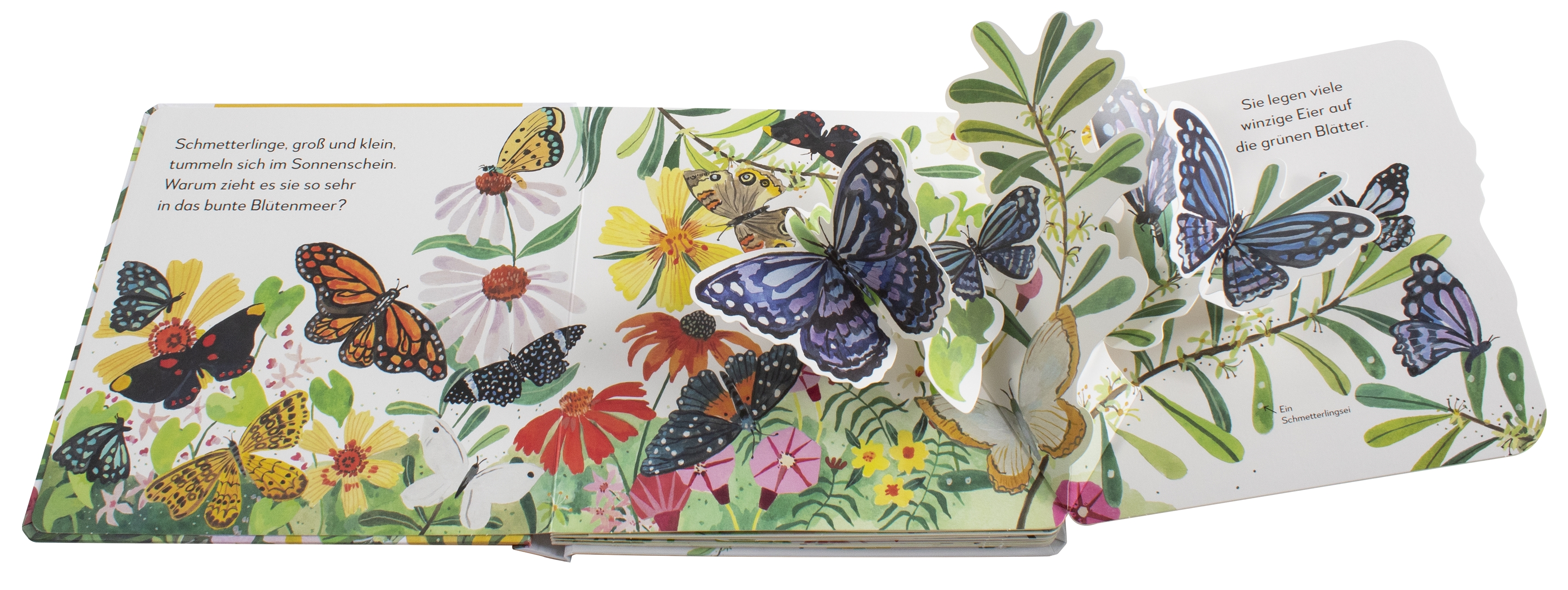 9783831046621_innenansicht_03 9783831046621_innenansicht_03.jpg