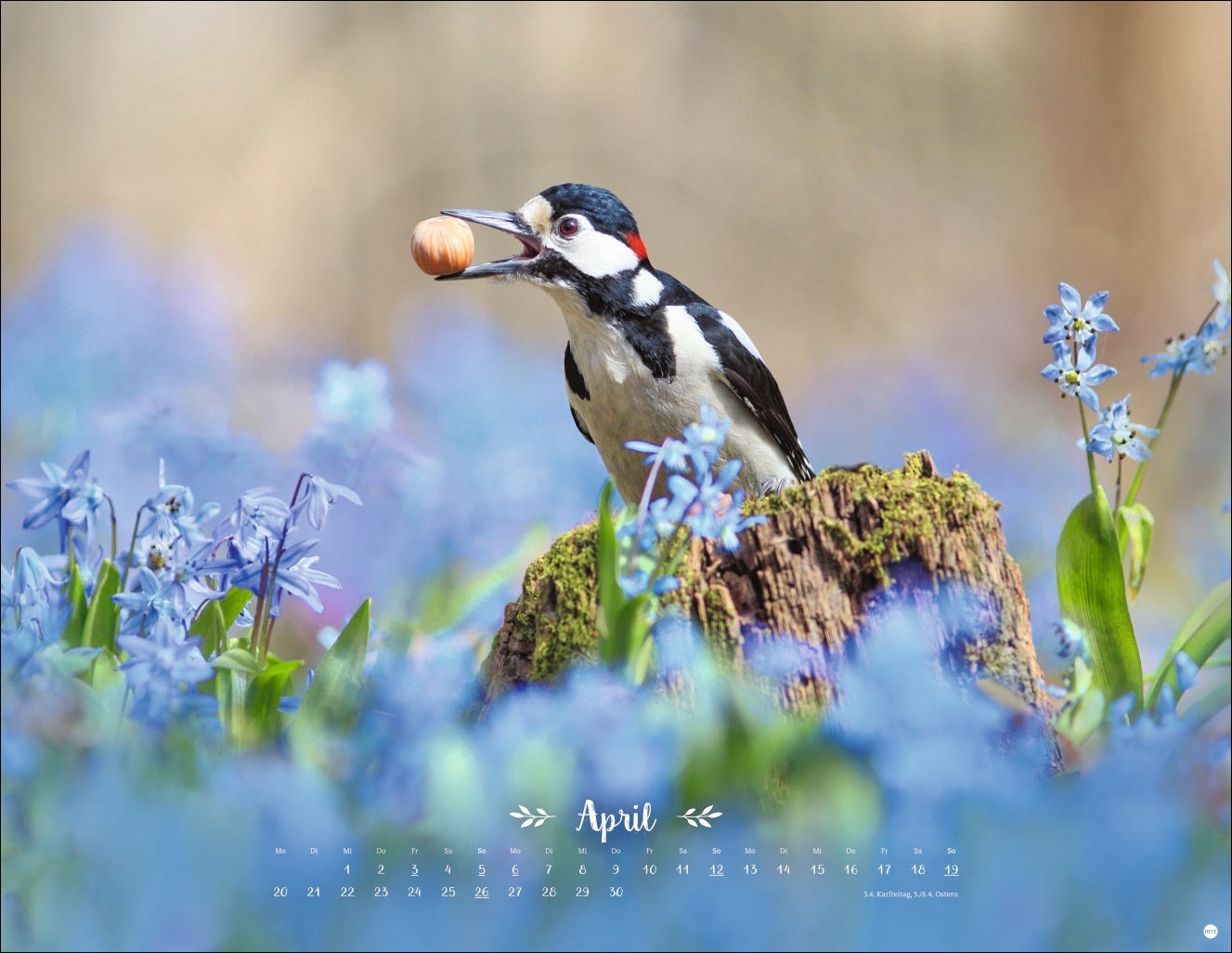 9783756411672_innenansicht_04 9783756411672_innenansicht_04.jpg