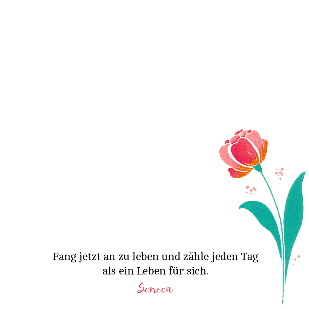4050003952161_innenansicht_01.jpg