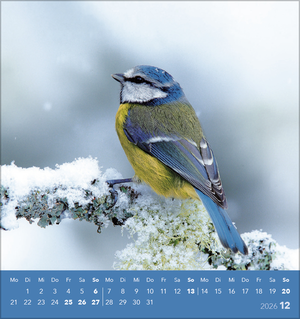 9783731890225_innenansicht_12 9783731890225_innenansicht_12.jpg