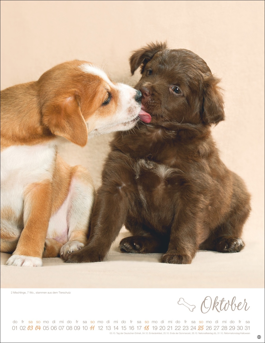 9783756410811_innenansicht_10 9783756410811_innenansicht_10.jpg