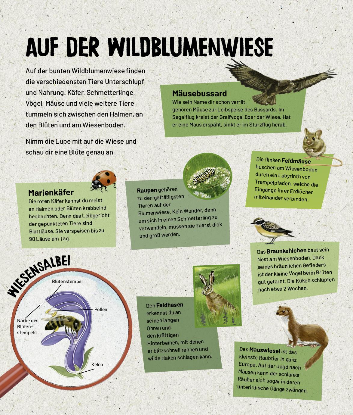 9783849945671_innenansicht_01 9783849945671_innenansicht_01.jpg