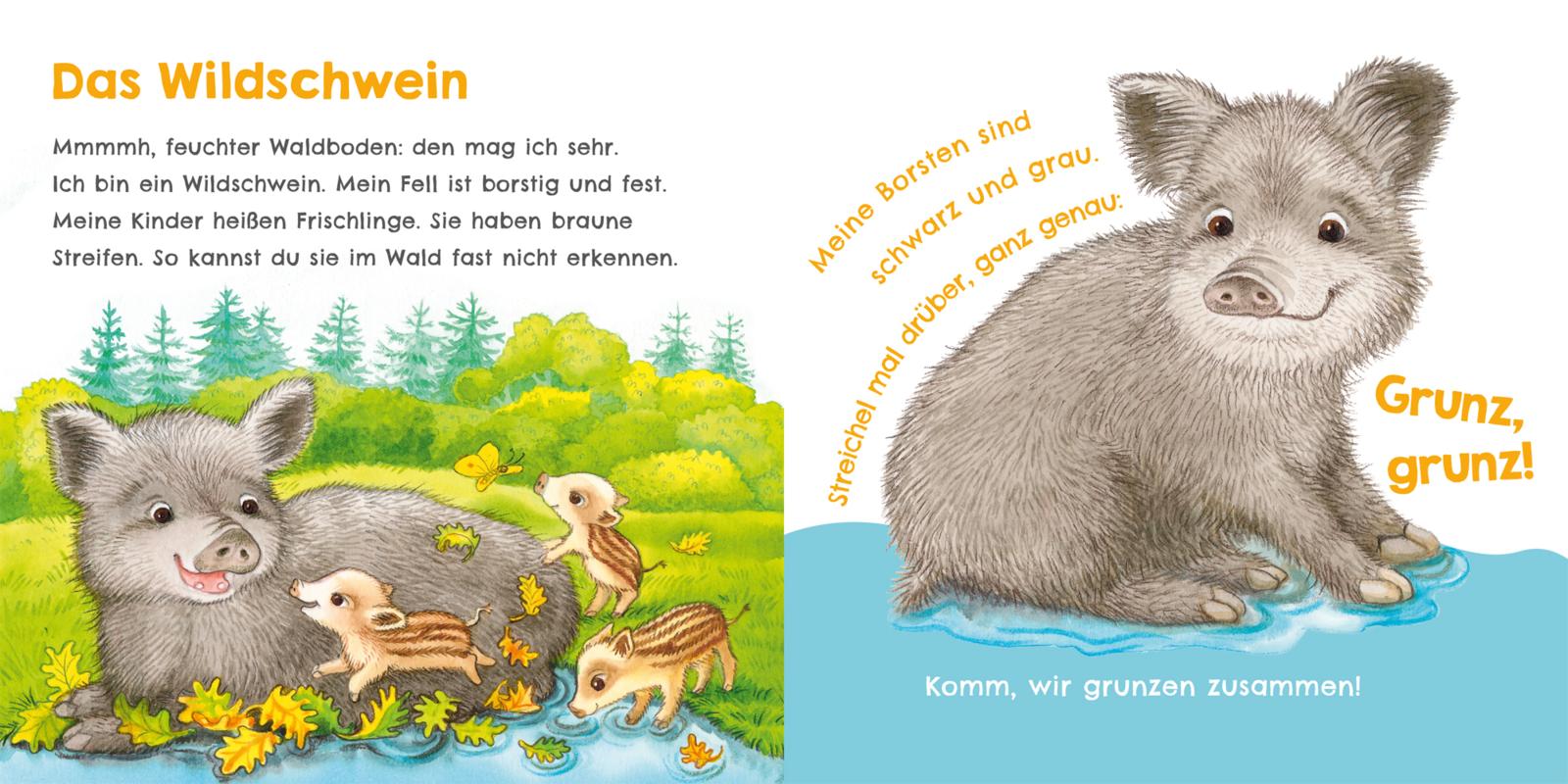 9783551254023_innenansicht_07.jpg