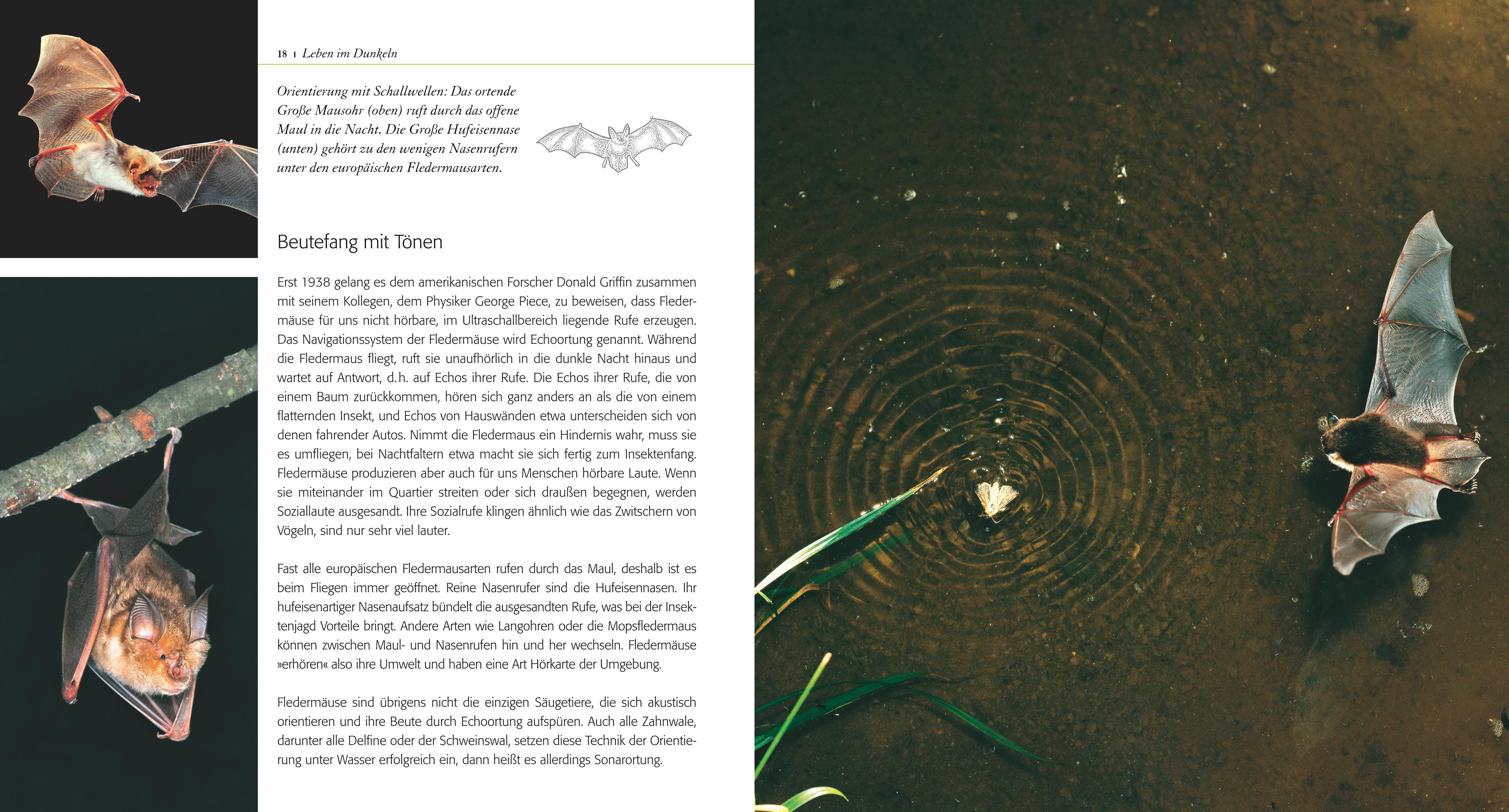 9783835419032_innenansicht_03 9783835419032_innenansicht_03.jpg